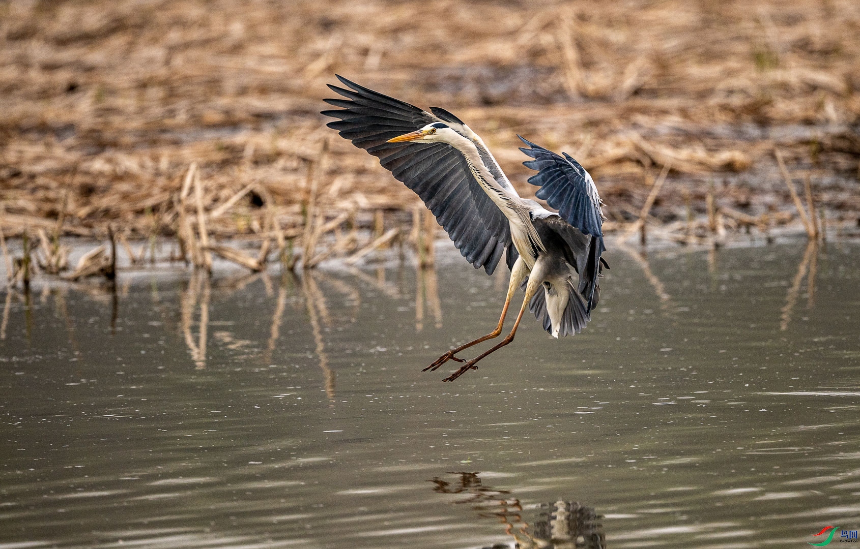 DSC_5129.jpg
