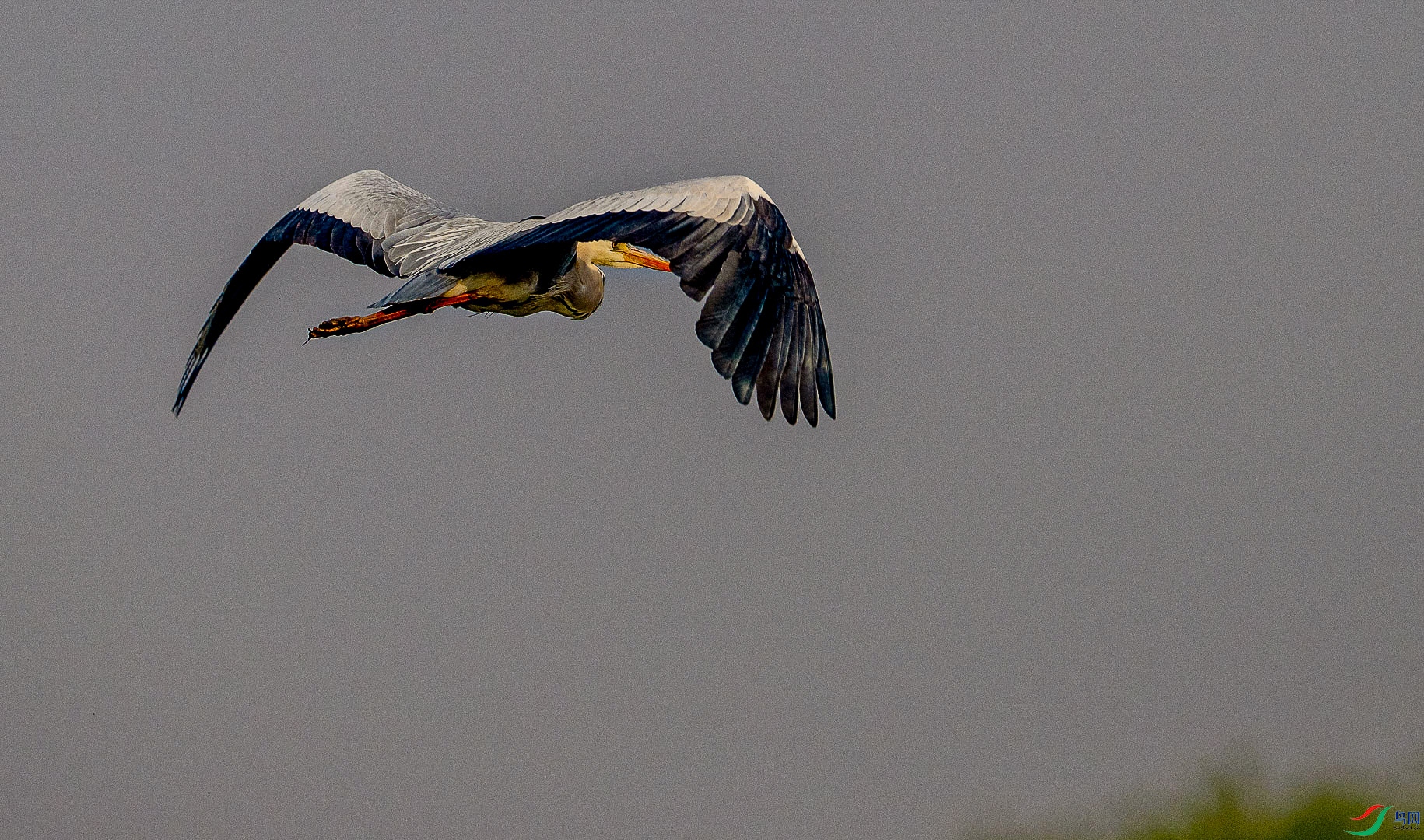 DSC_4206_2.jpg