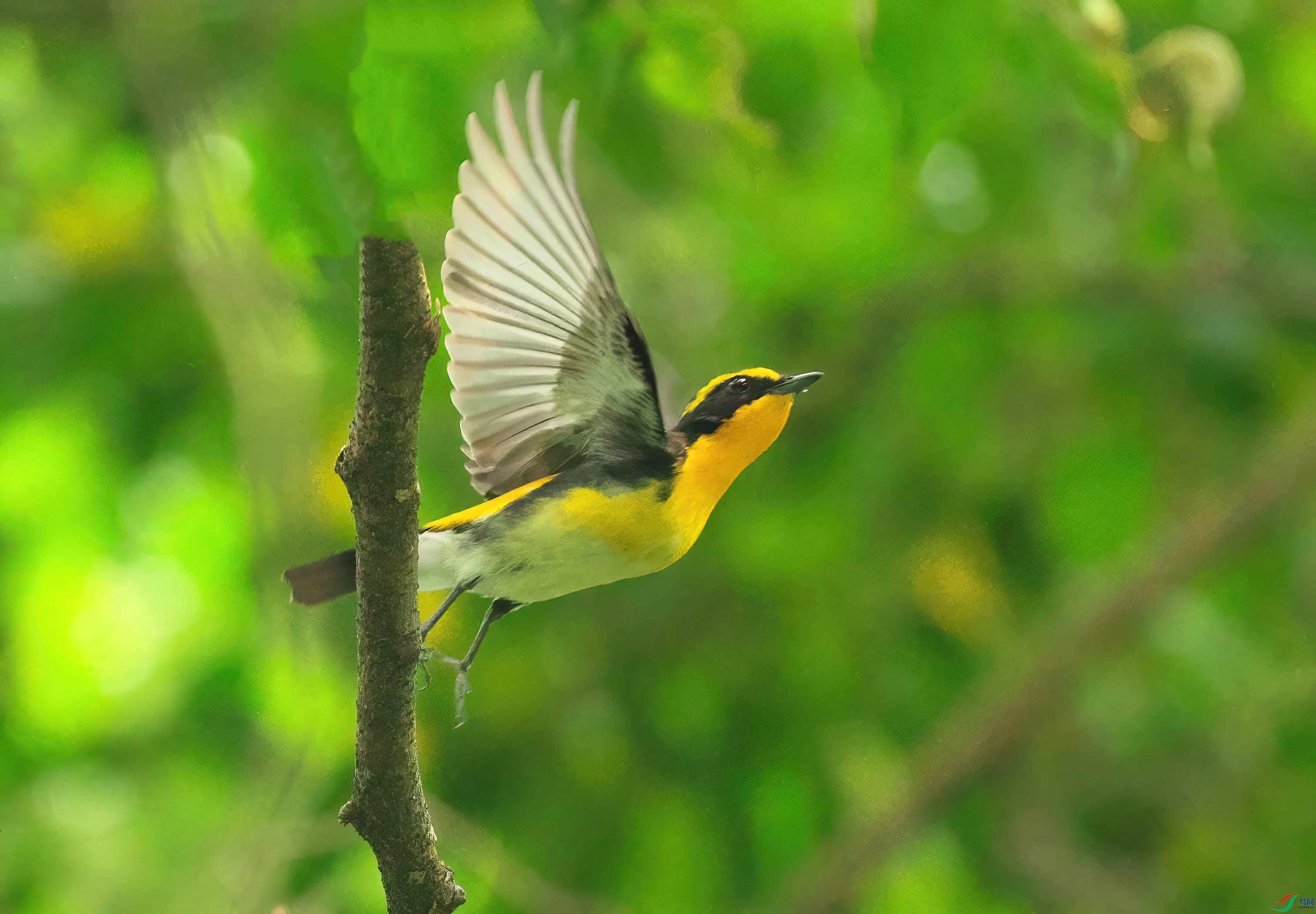 DSCF8594-Dsp.jpg