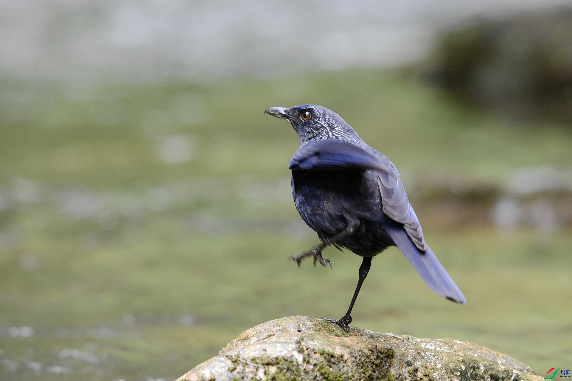 DSC_3151.jpg