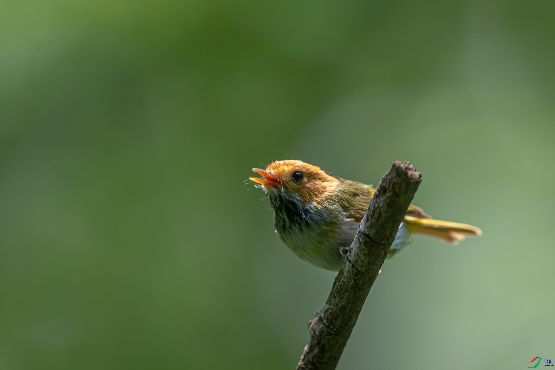 DSC_7698-11.jpg