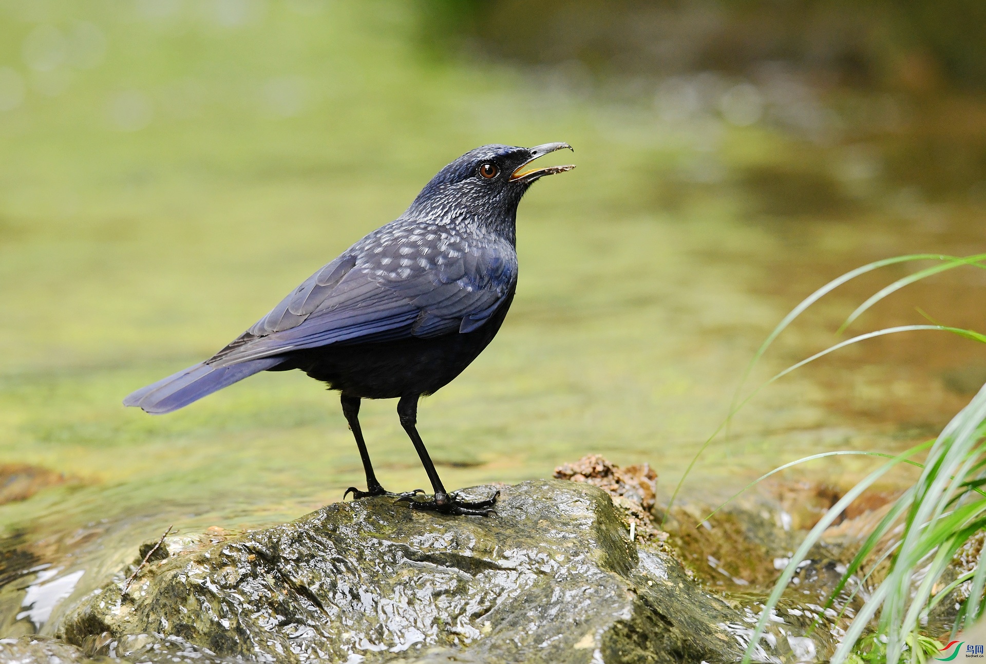 DSC_3256.jpg