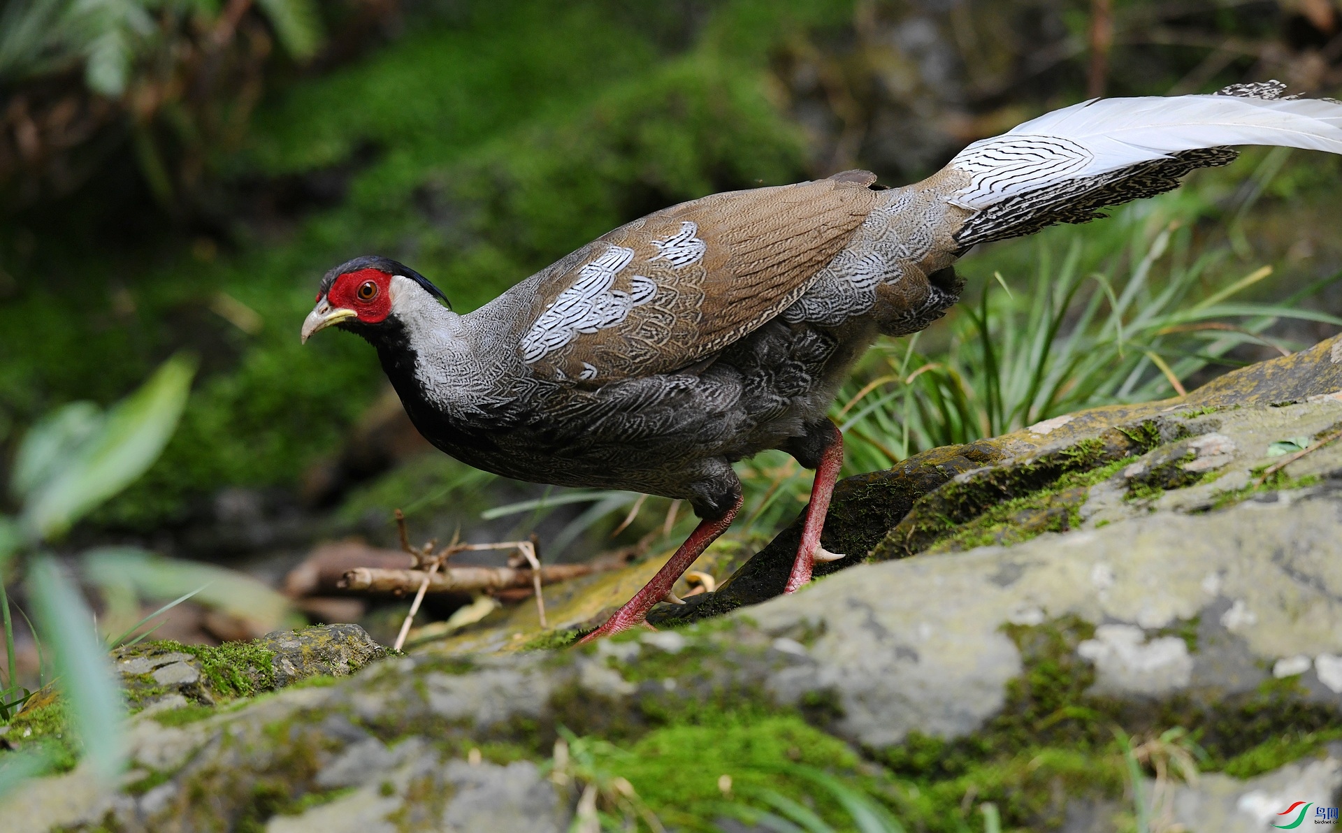 DSC_4064.jpg