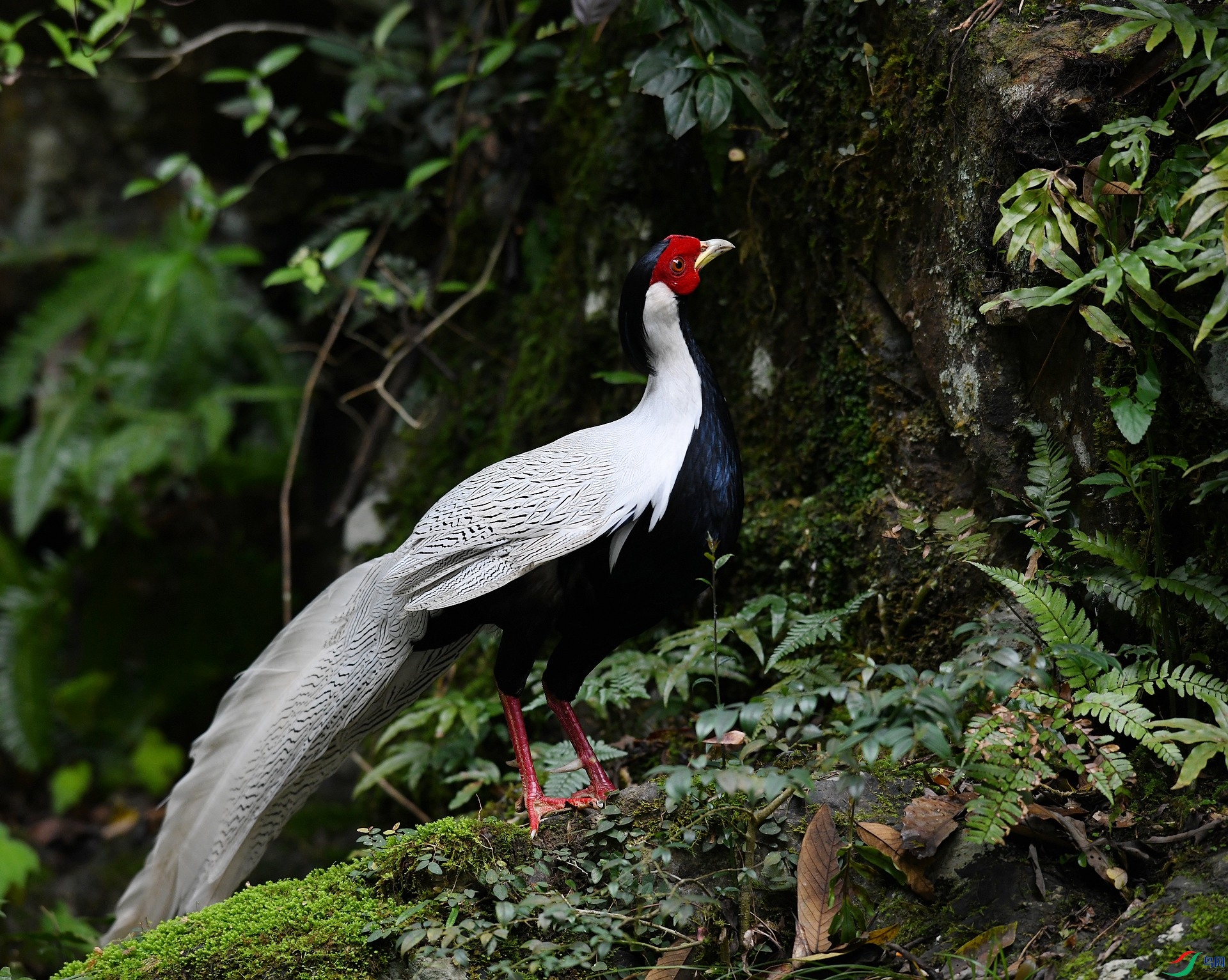 DSC_3501.jpg