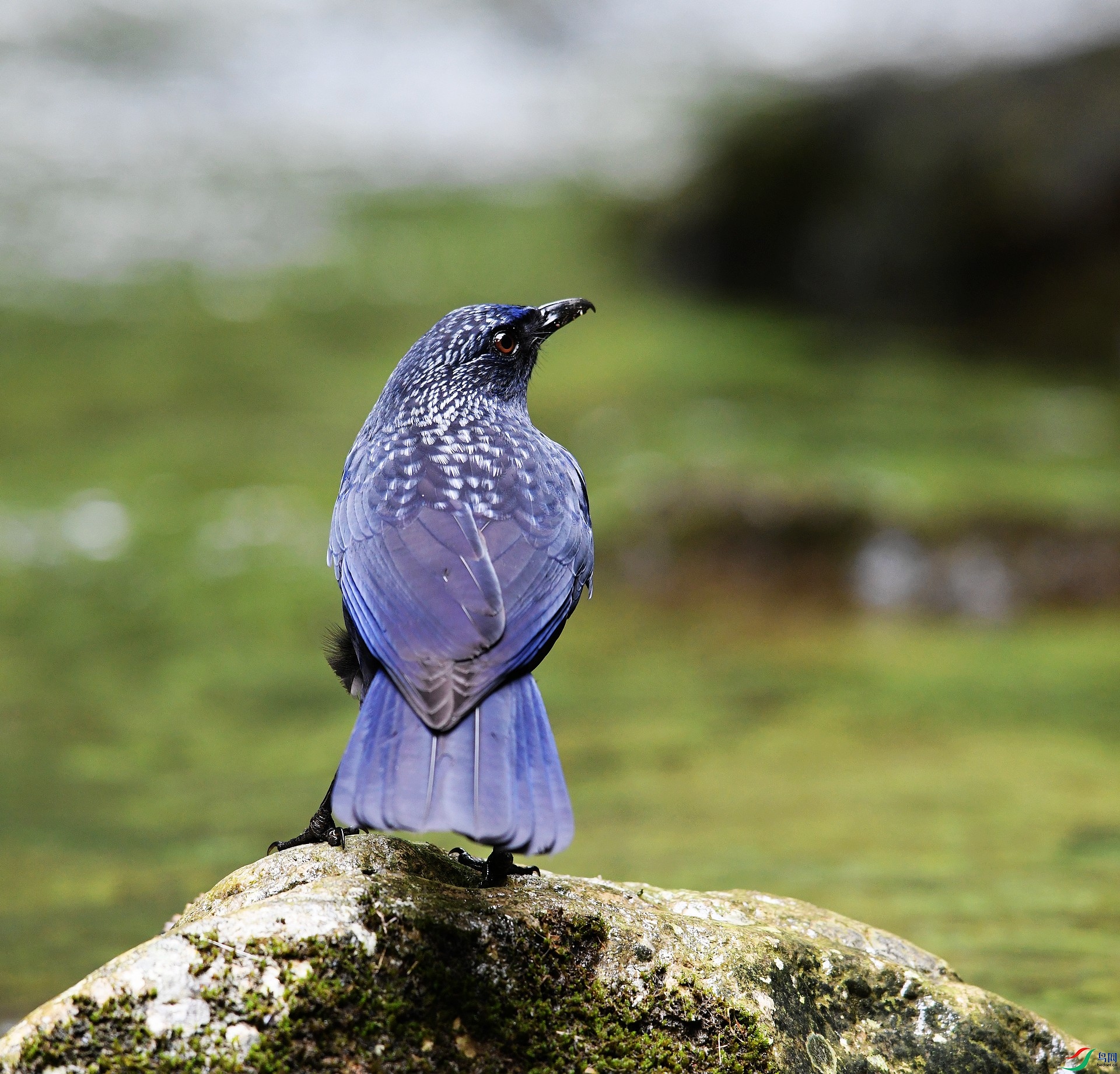 DSC_3134.jpg
