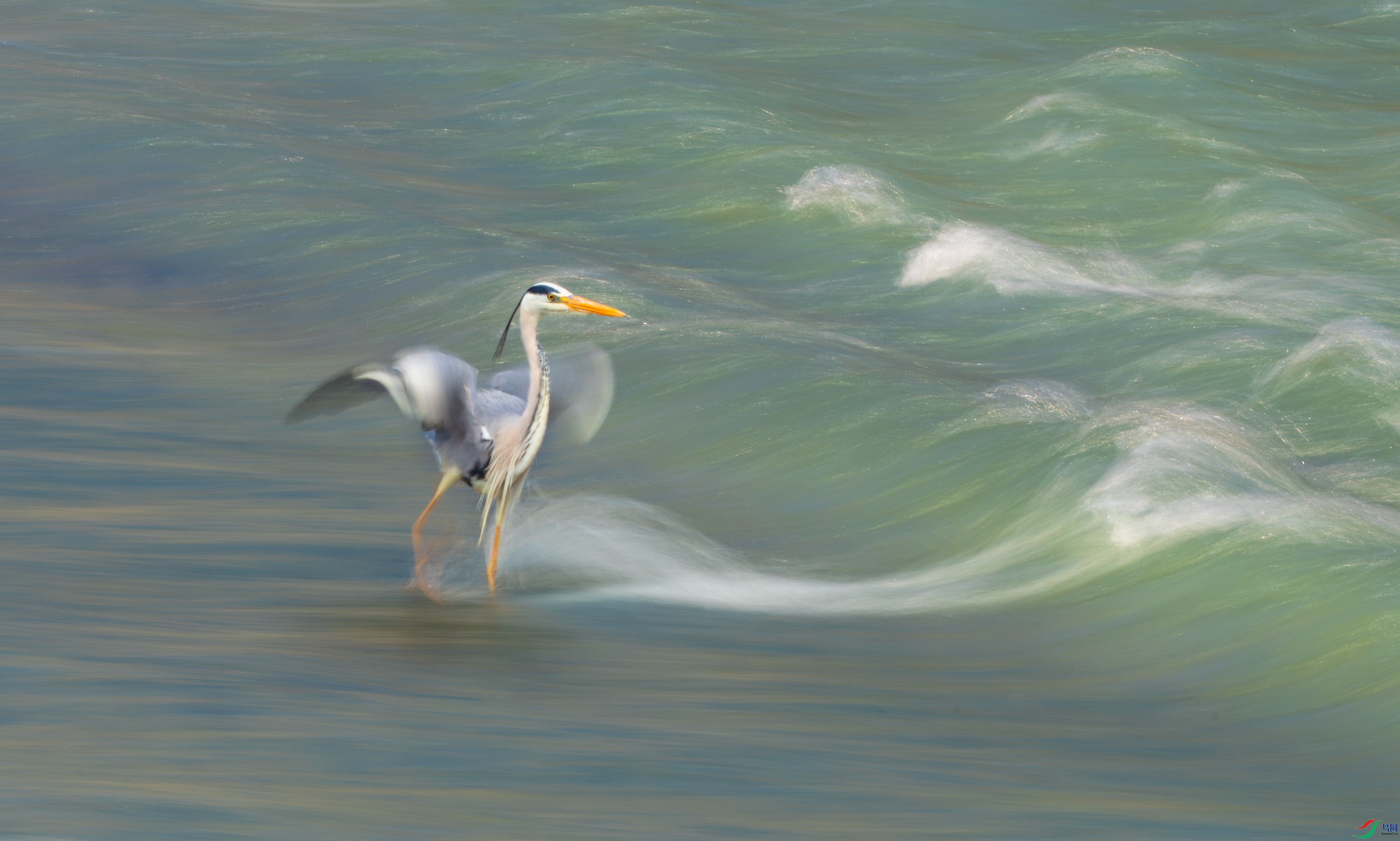 DSC_2844-11.jpg