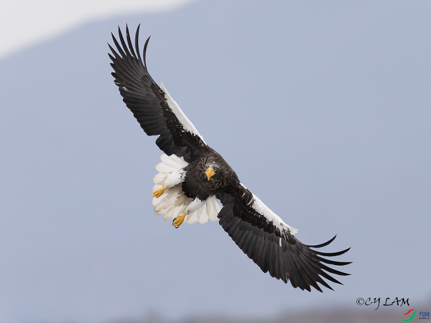 ���^���m