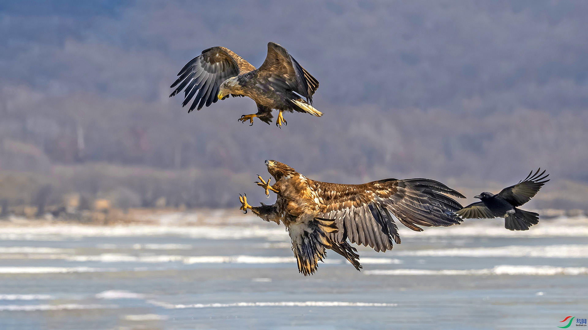 DSC_1900 ����.jpg