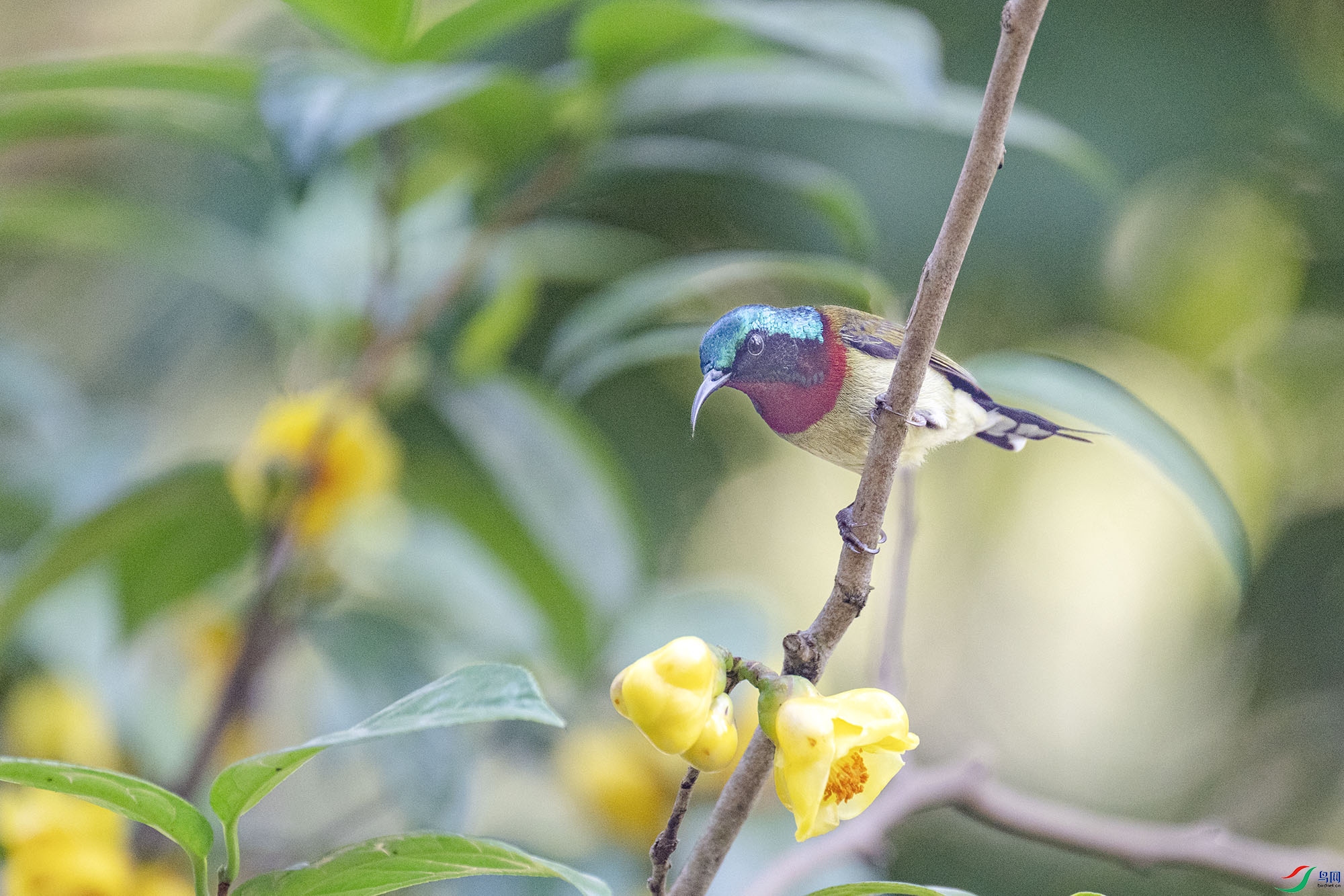 DSC_6666.jpg