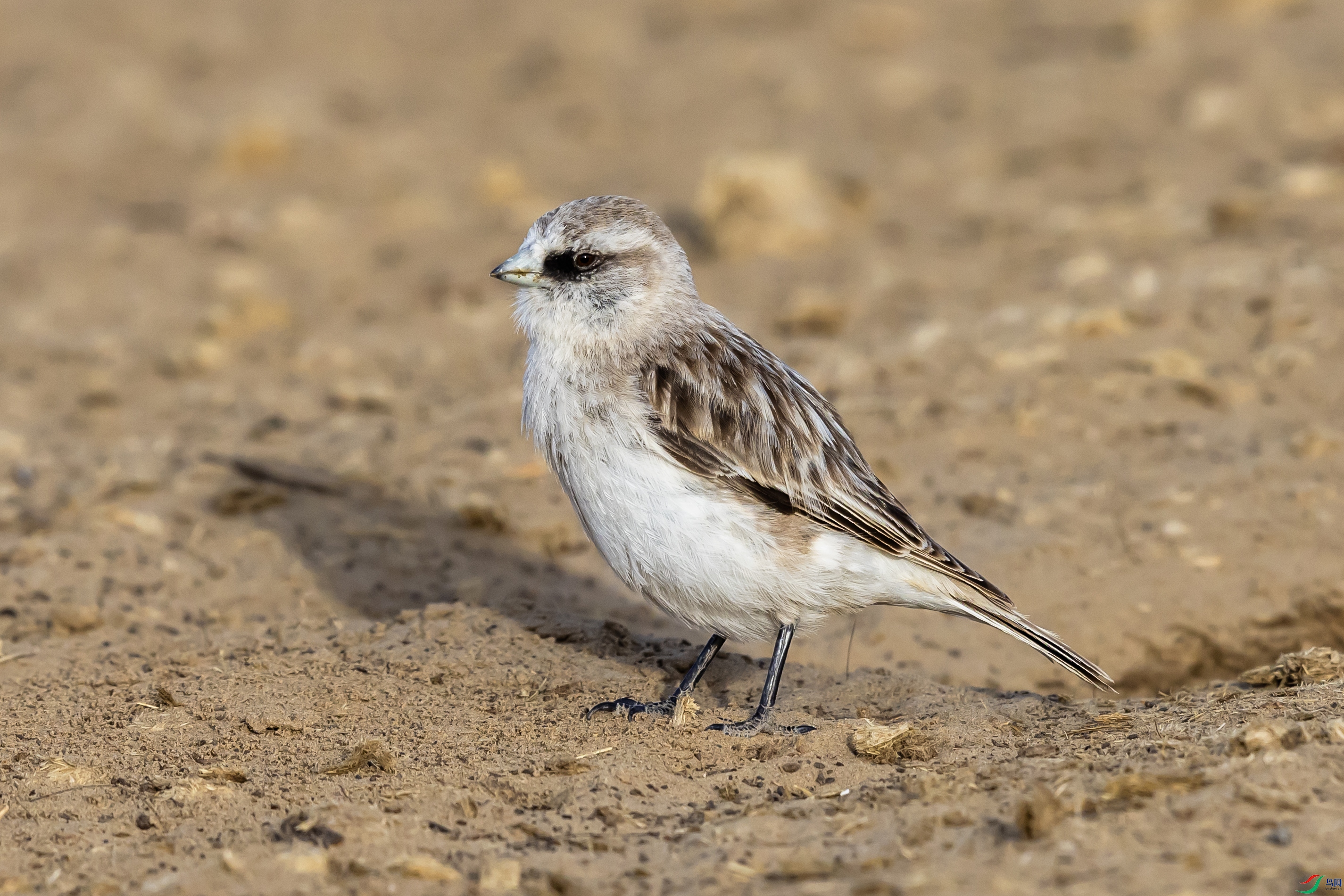 4K2A9257 ����ѩȸ001.jpg