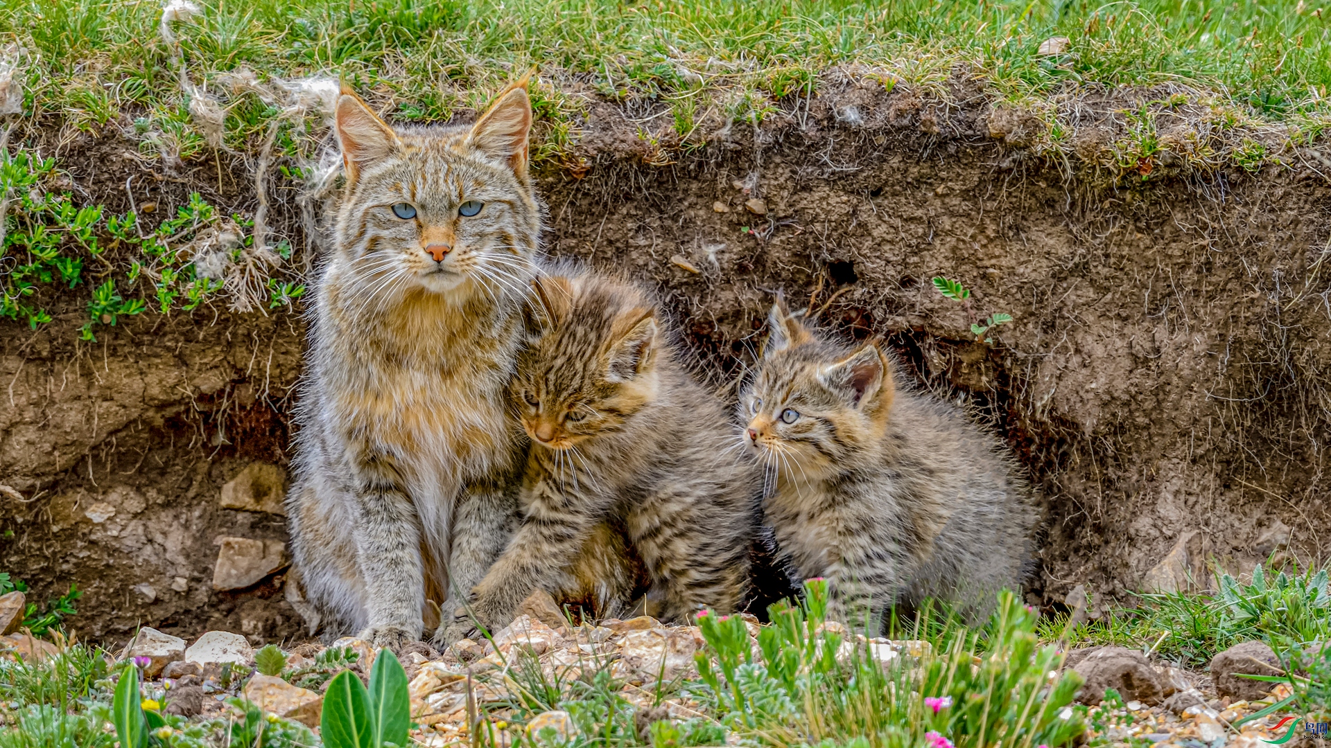 ����--��Įè  ��Ӱ���μ��� 13109718696_����.jpg