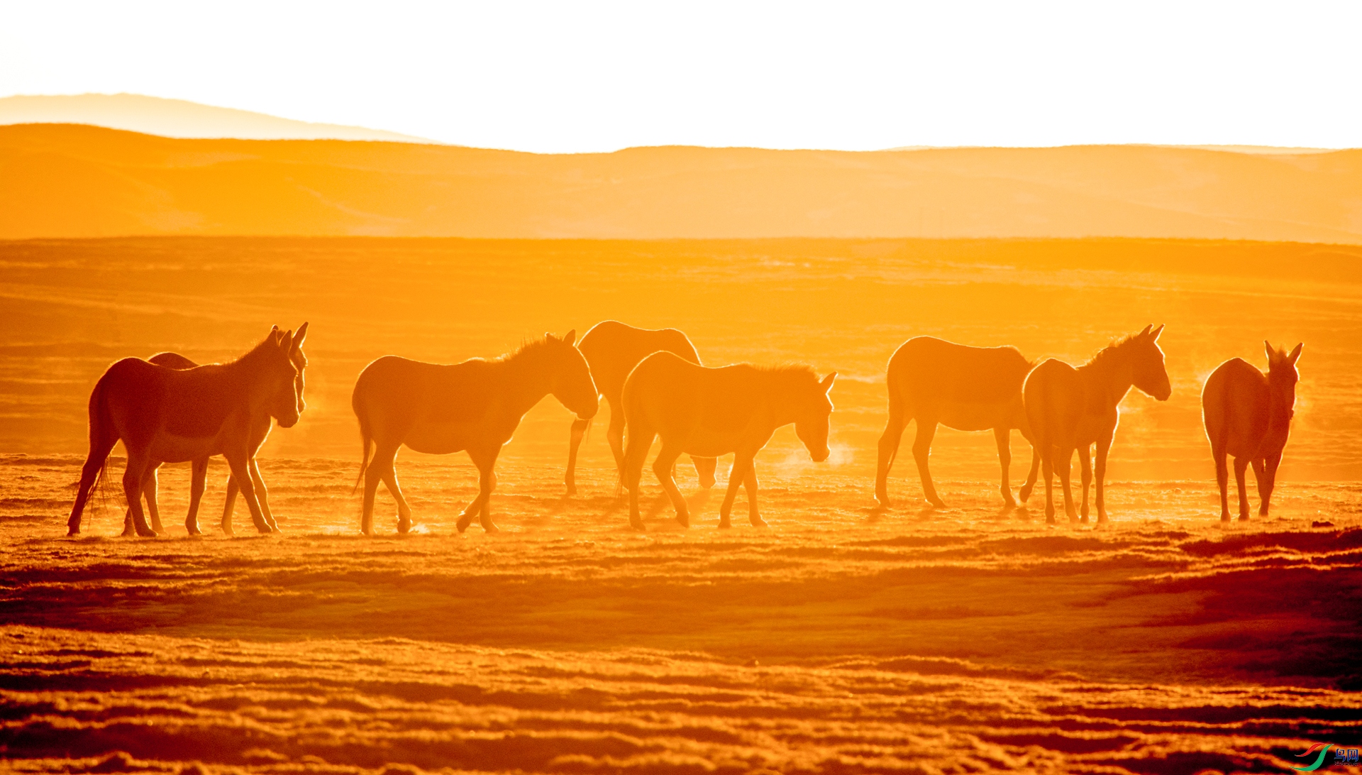 ����ԡ���⡷���ߣ��μ���  �绰��13109718696  �������ຣ����Դ���ҹ�԰_.jpg