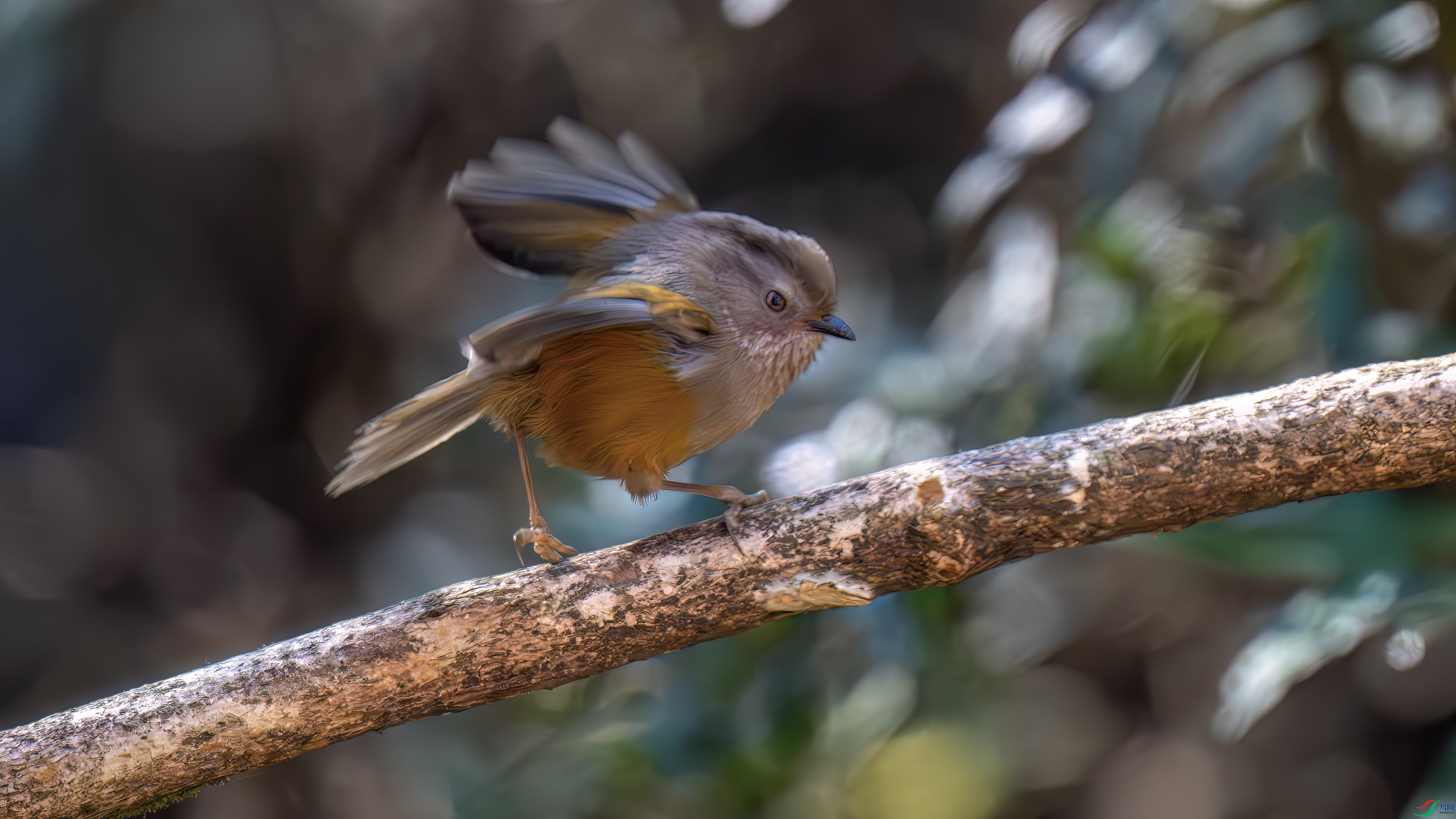 DSC_1436.jpg