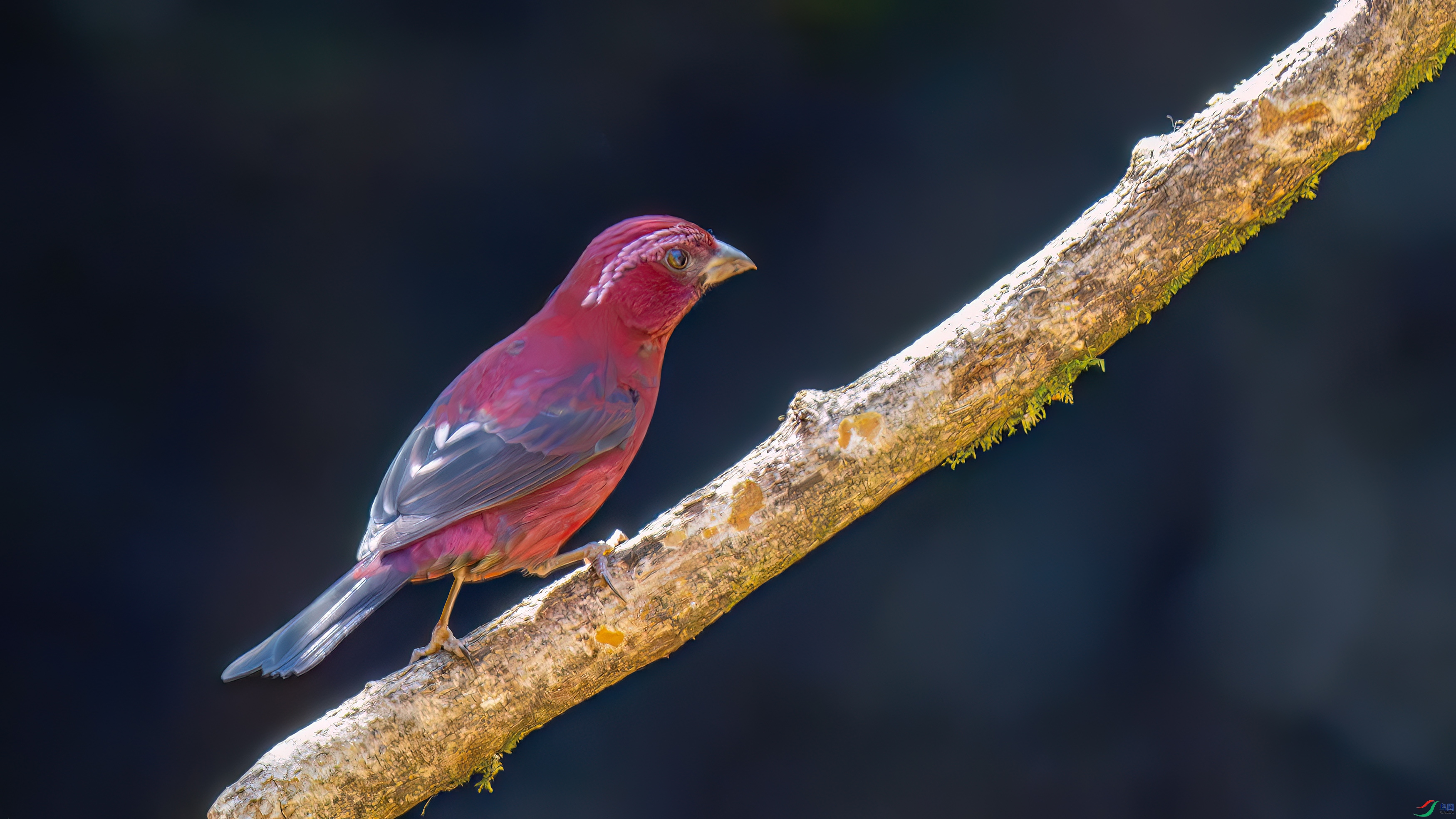DSC_1863.jpg