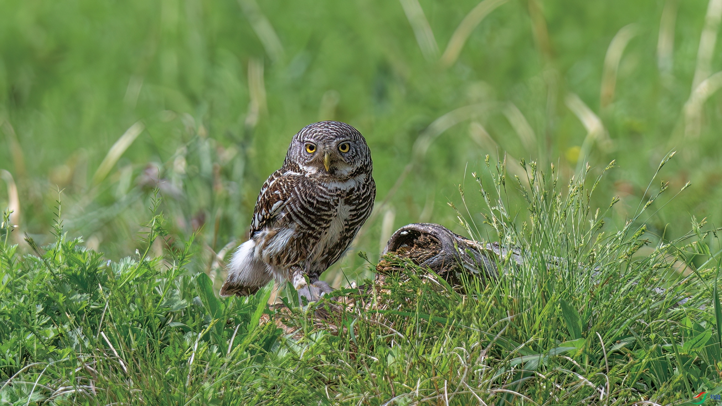 DSC_5768.jpg