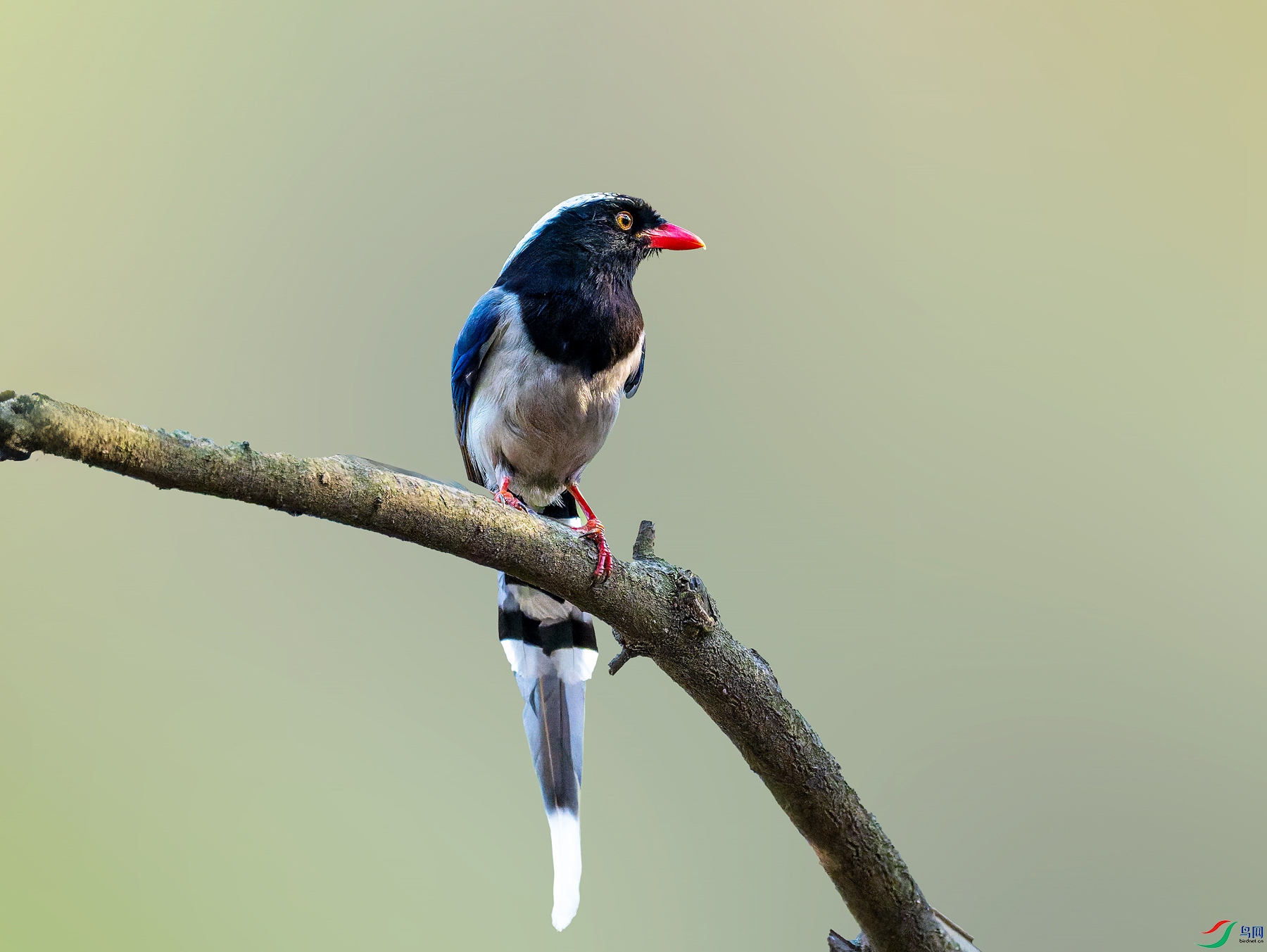 _DSC7328_����.jpg