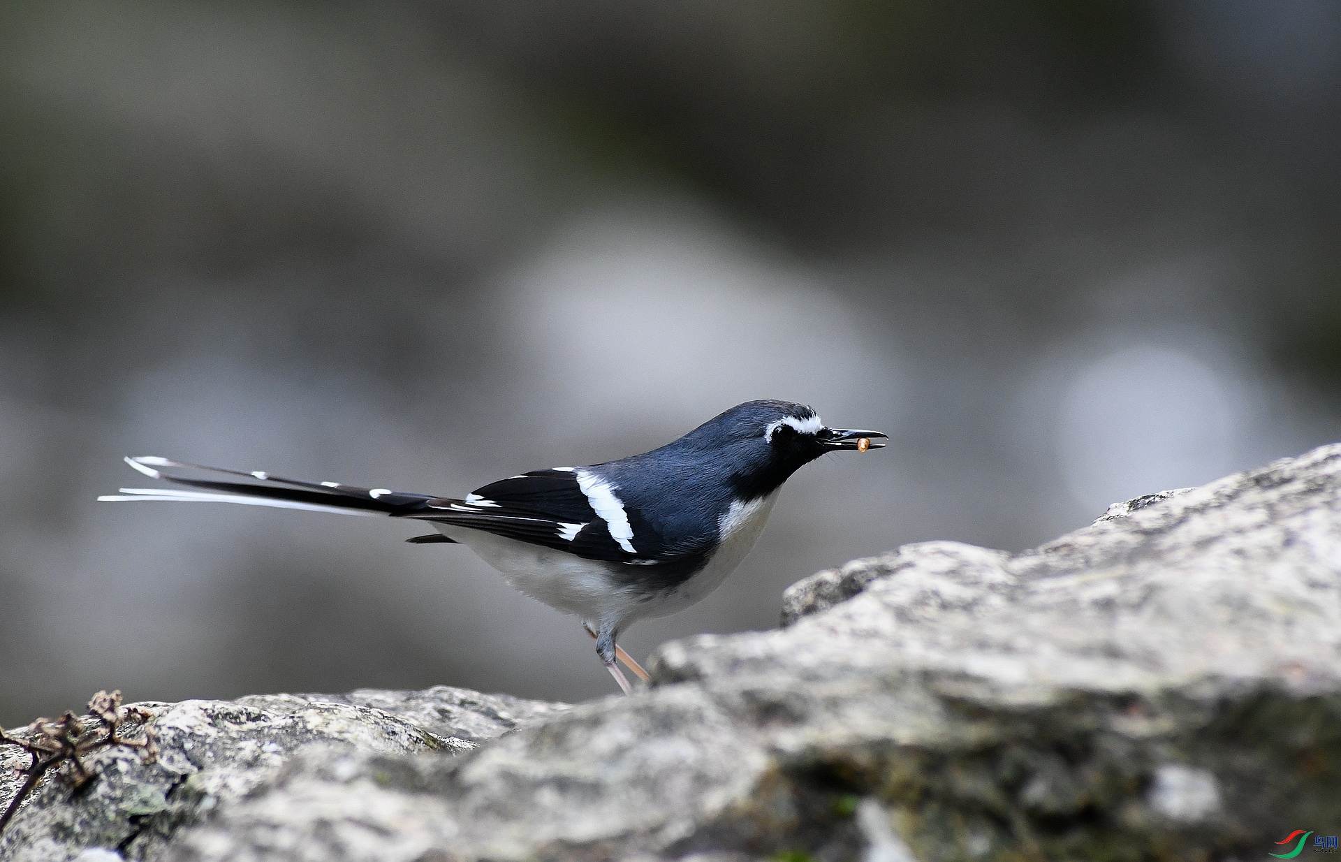 DSC_1566.jpg
