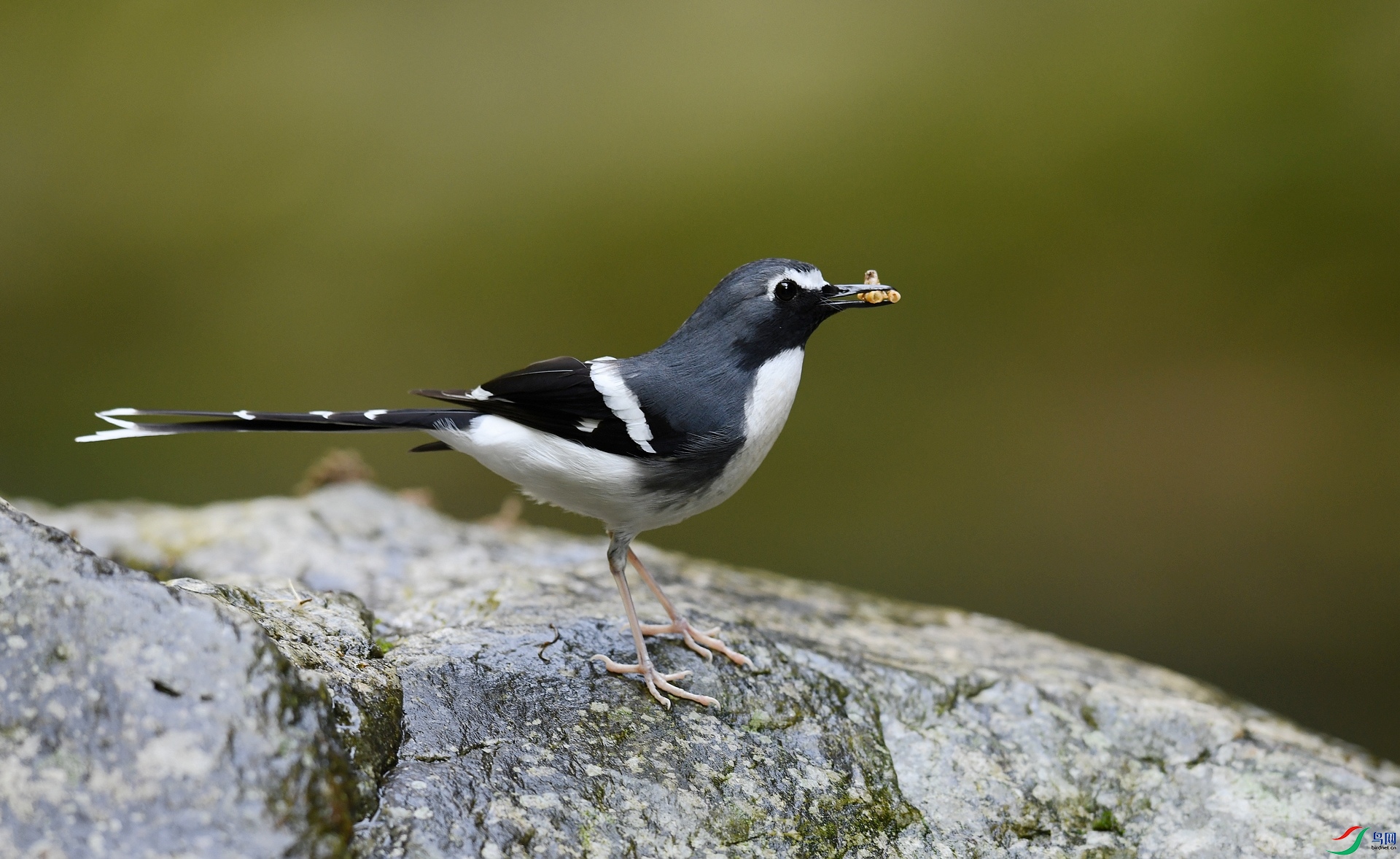 DSC_1839.jpg