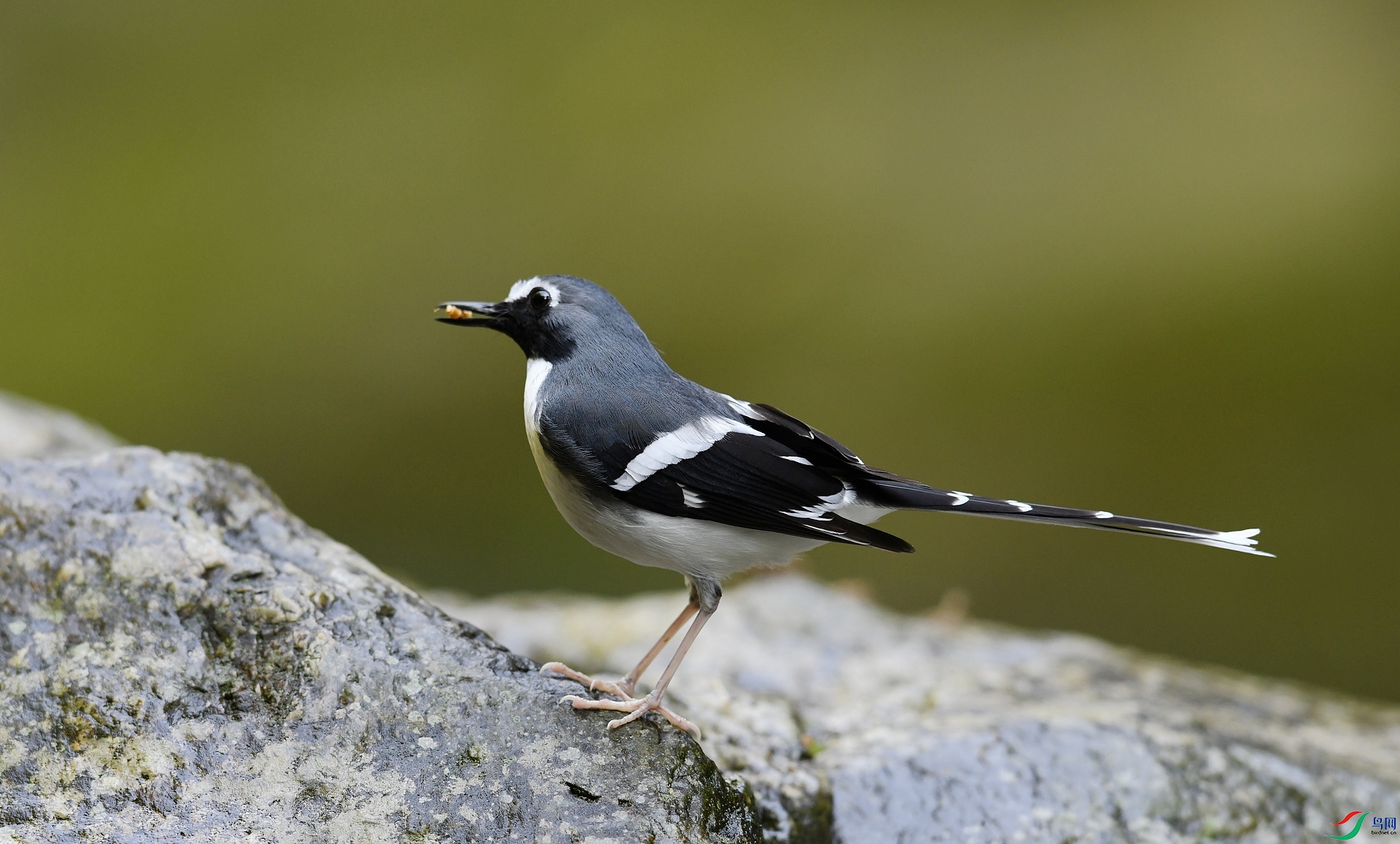 DSC_1834.jpg