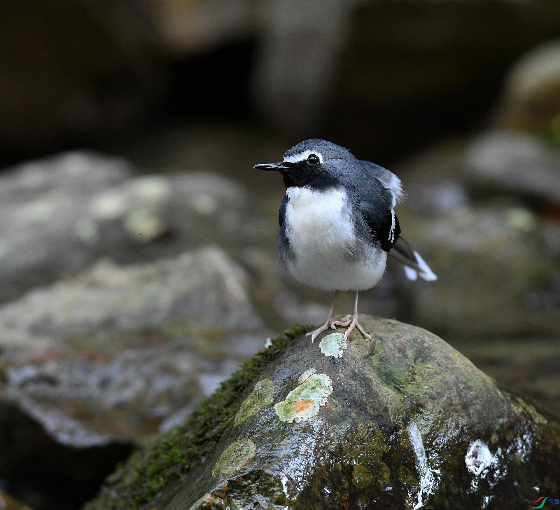 DSC_2139.jpg