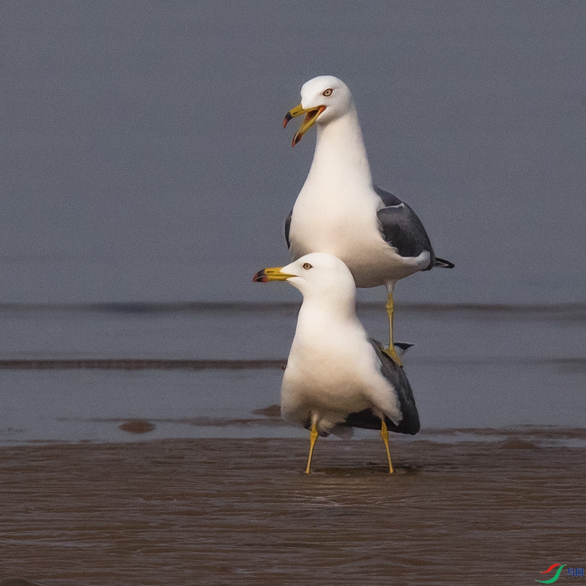 _90I8756 ����.jpg