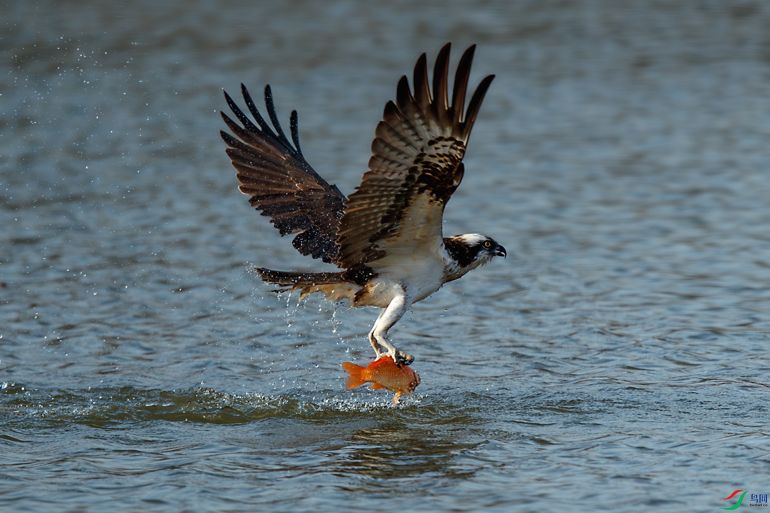 AQ9I6909-����ǿ-NR ����.jpg