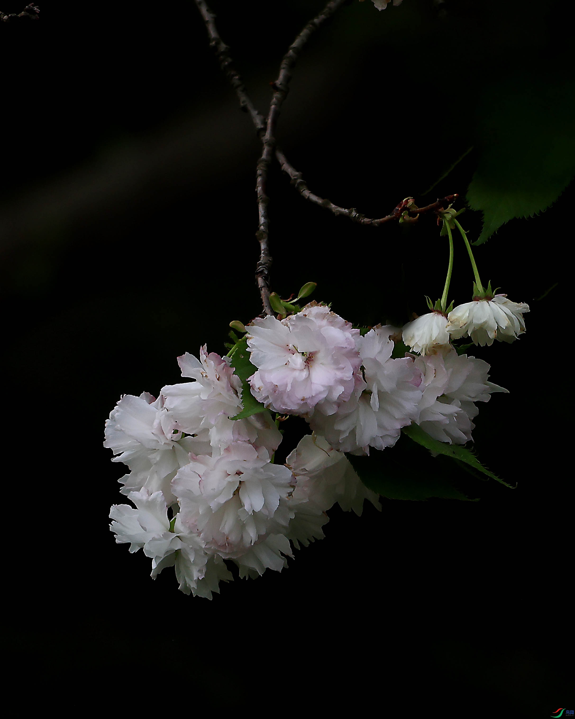2G9A4284.JPG