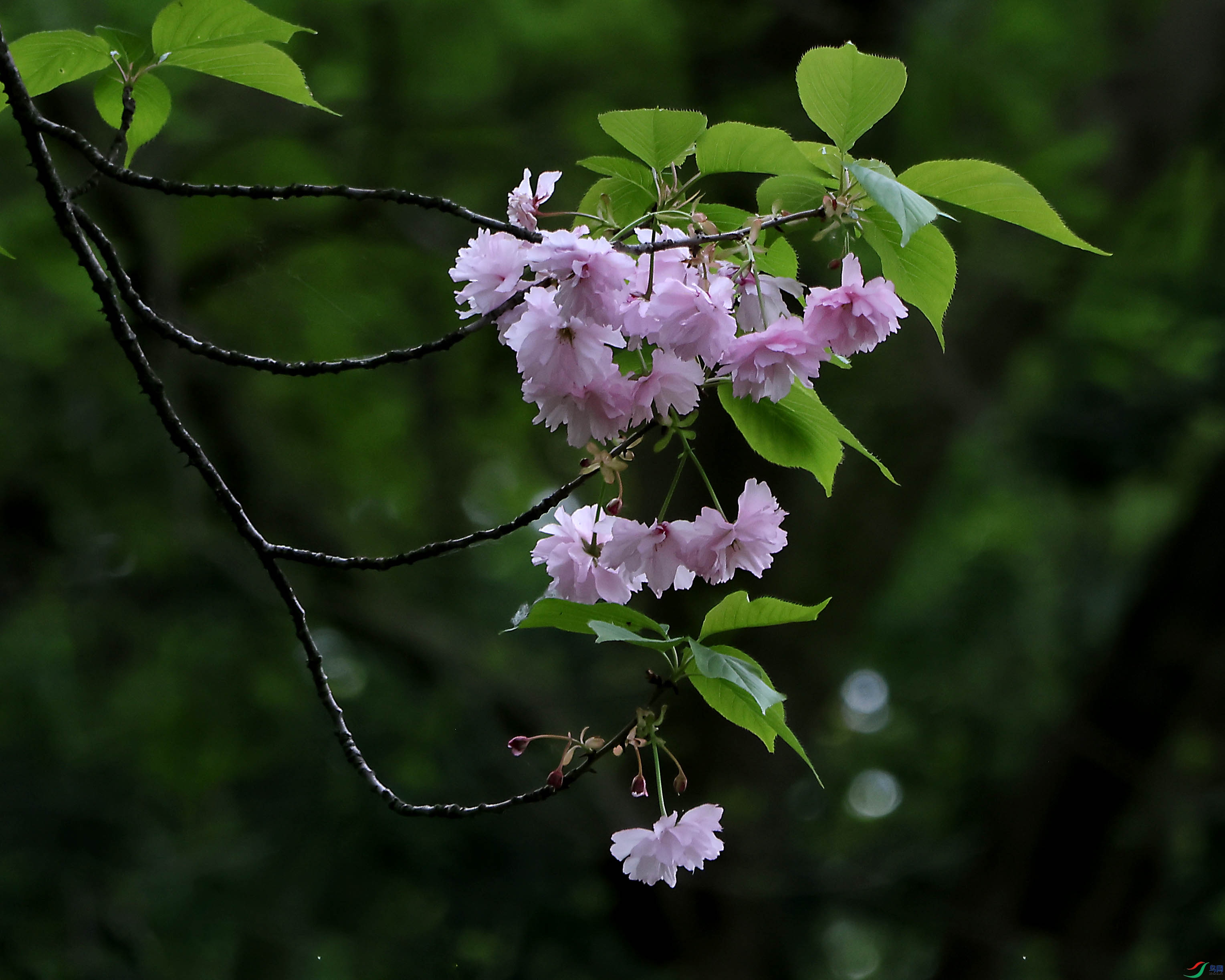 2G9A4289.JPG
