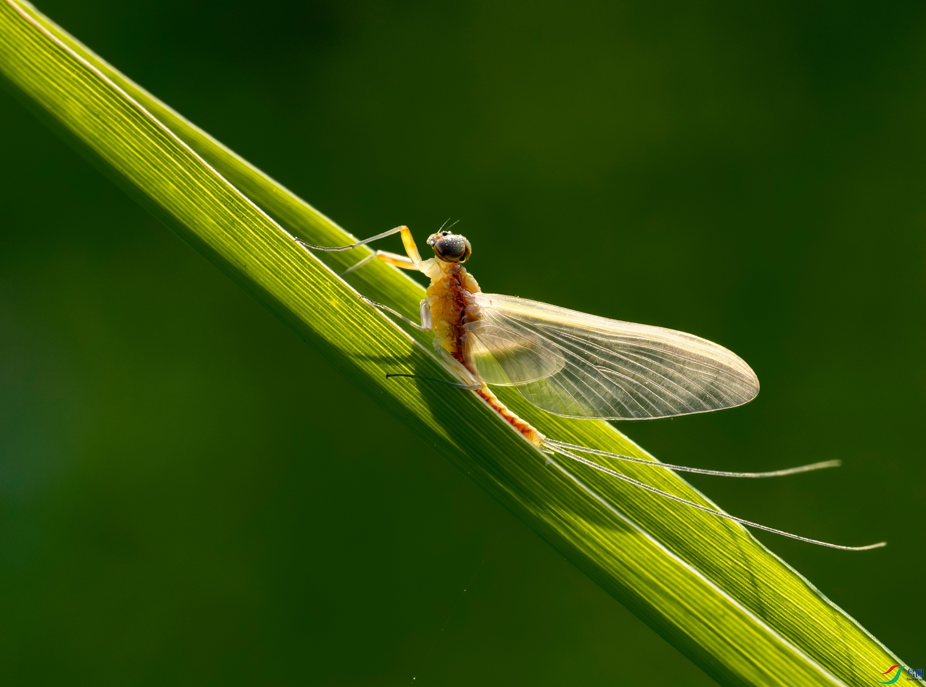 P4106105 ����_����.jpg