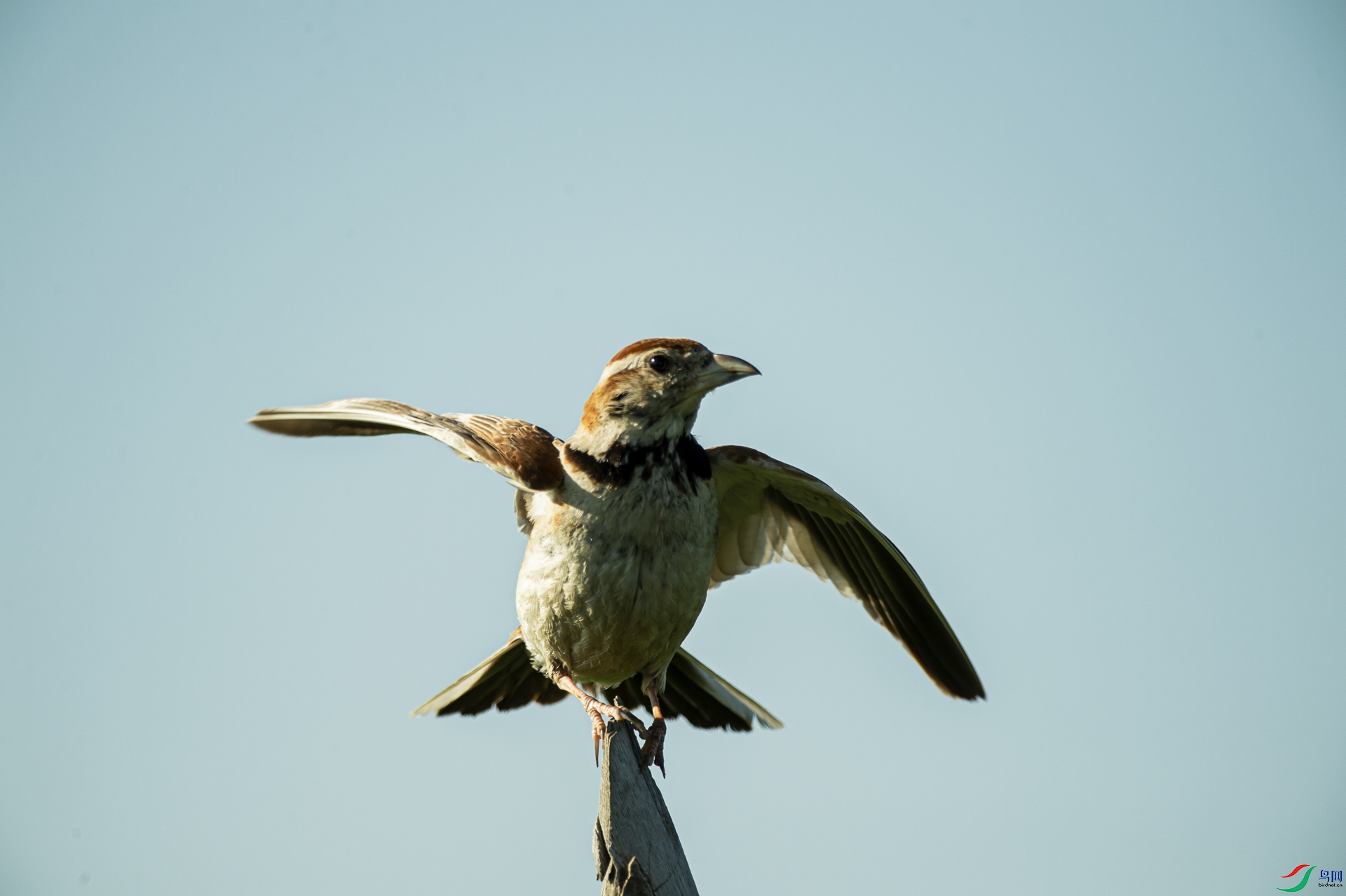 DSC_4921.jpg