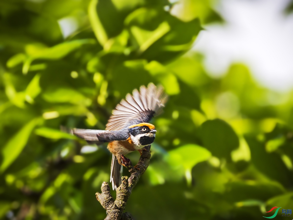 _B3A6538��ͷ��βɽȸ-��� ����.jpg