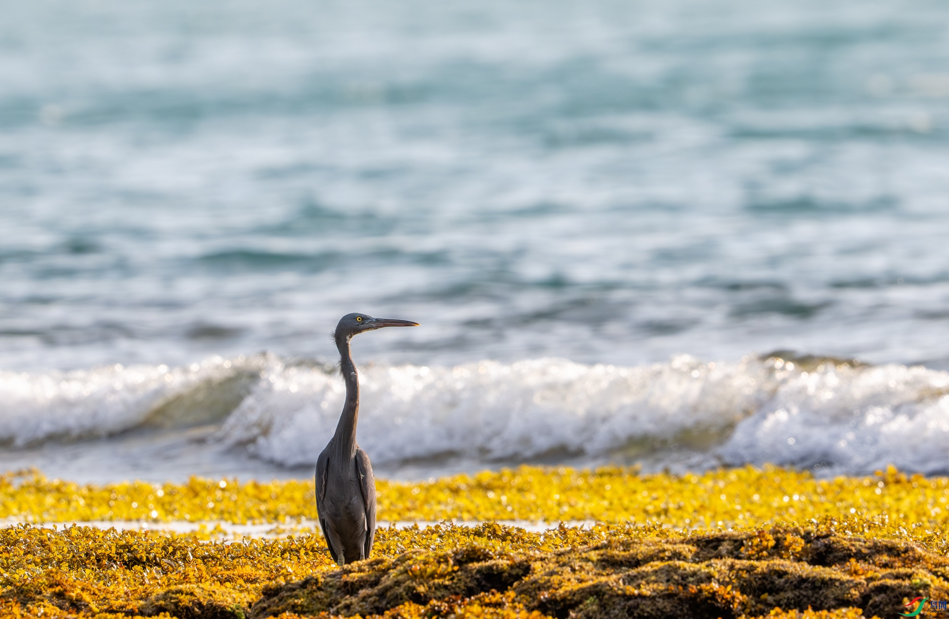 DSC_8282-1.jpg