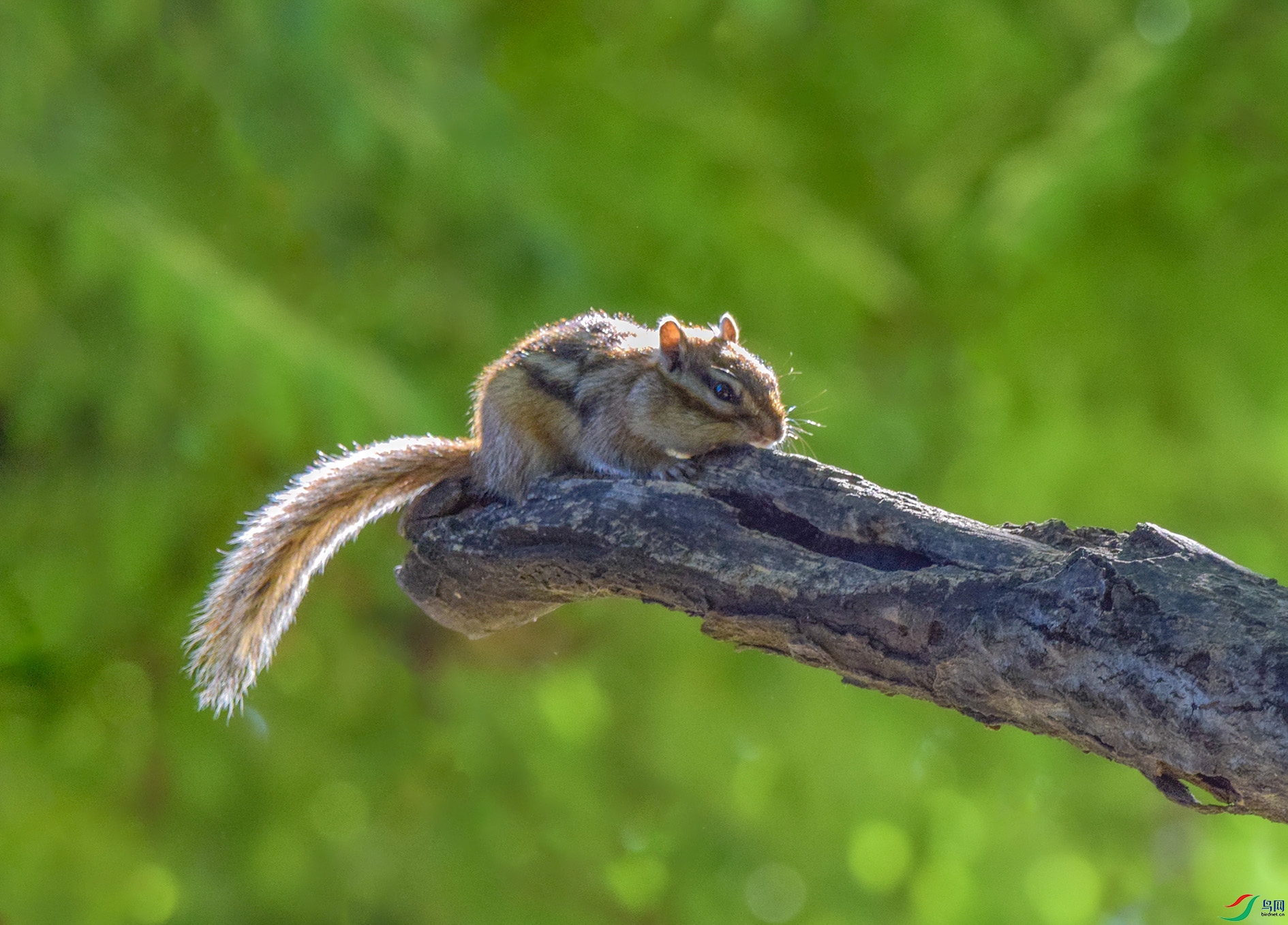 DSC_0368 ���� 2.jpg