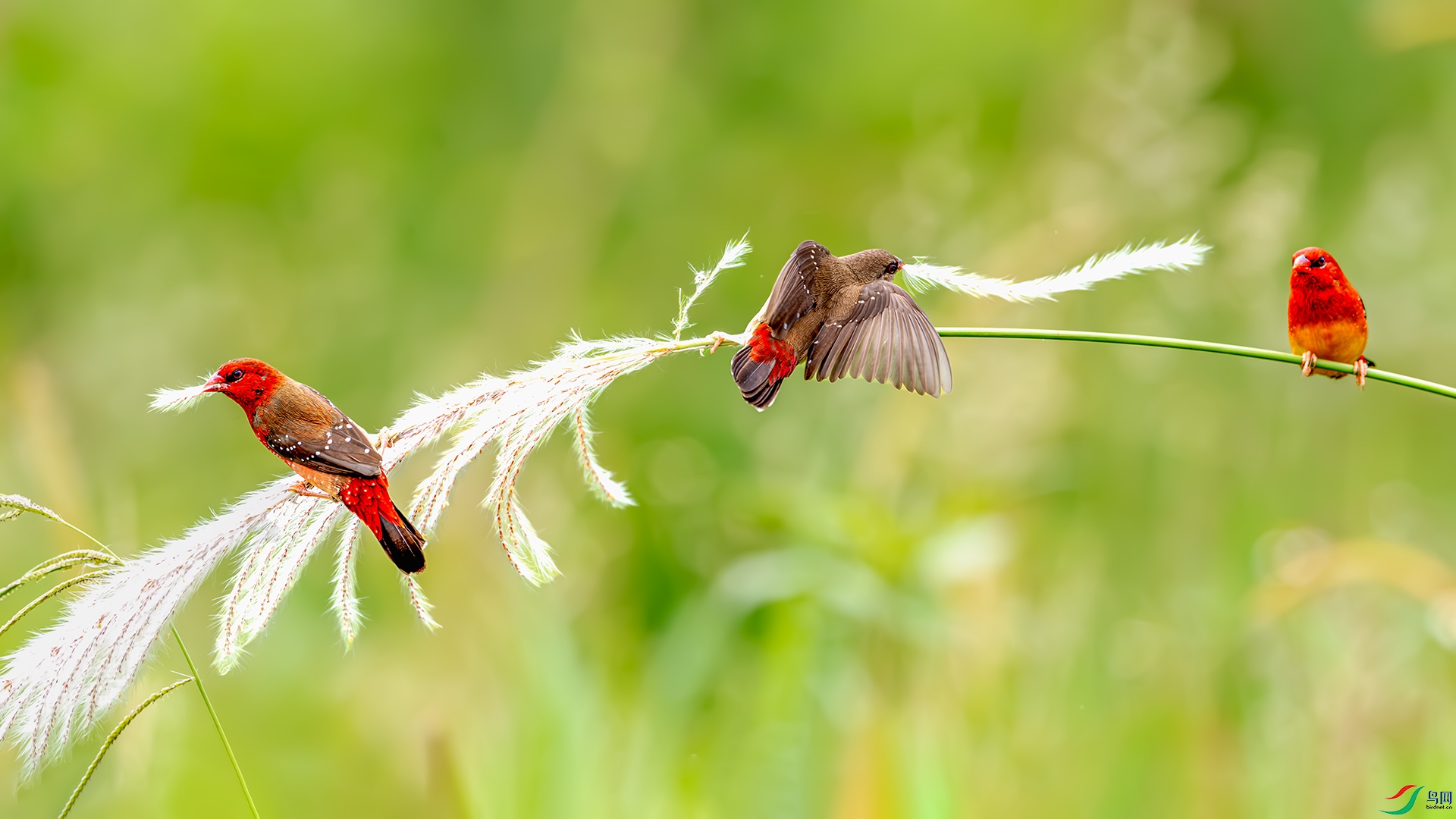 _XGQ9577-1����ǿ-NR ����.jpg