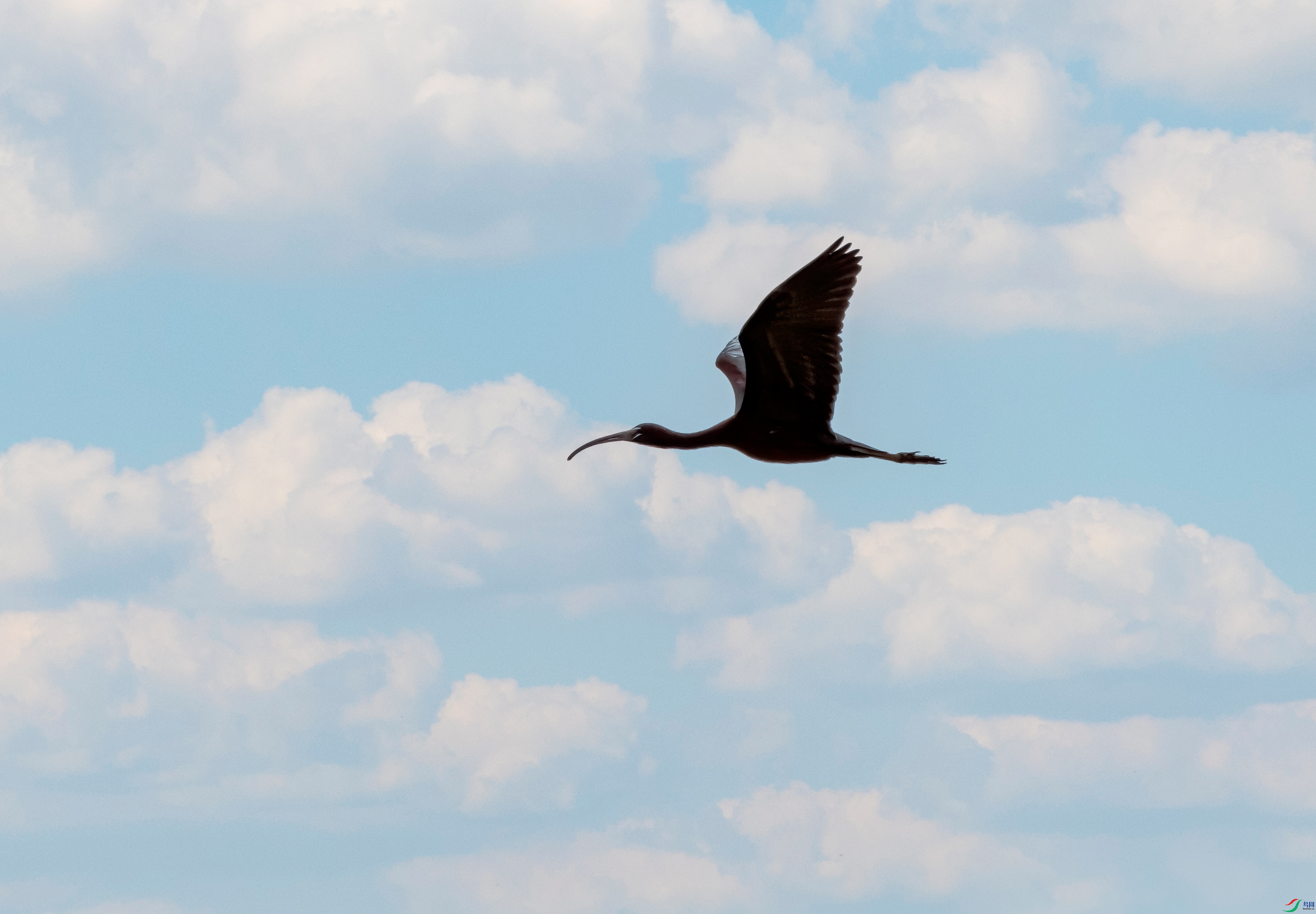 DSC_1051-11.jpg