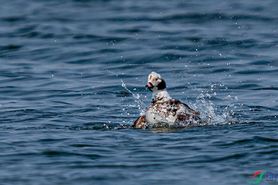 _DSC3103-1.jpg
