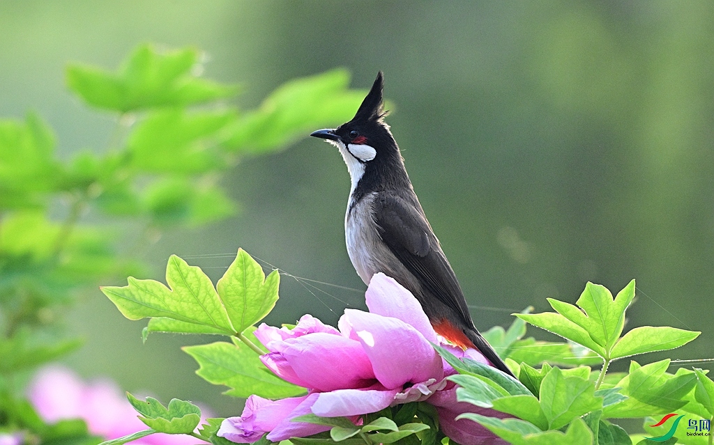 DSC_3478.JPG