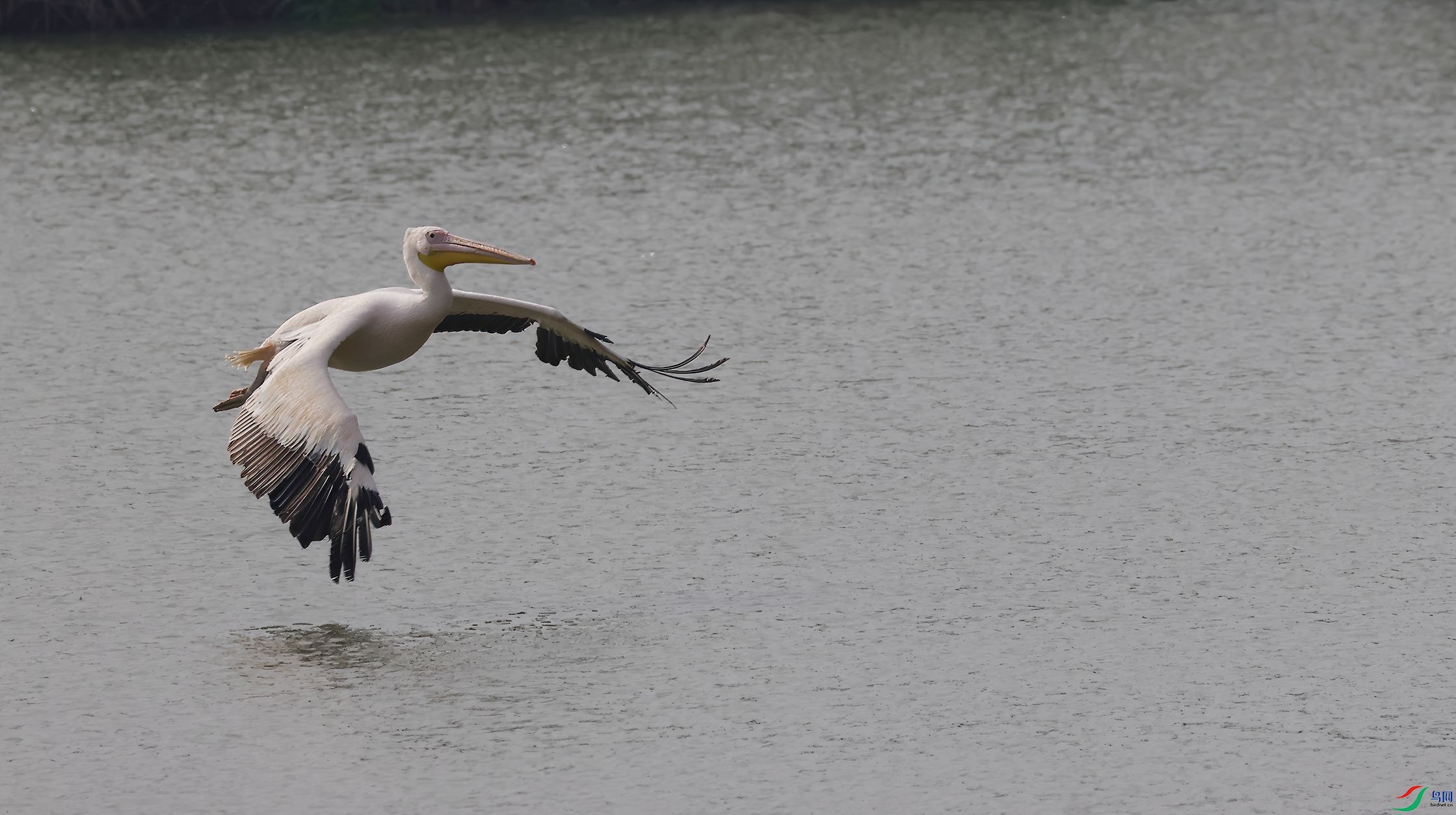 4R6A0405-SharpenAI-Motion.jpg