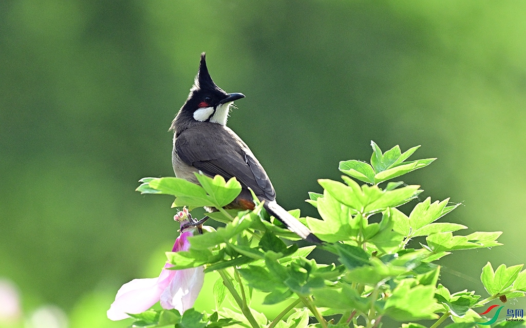 DSC_4174.JPG