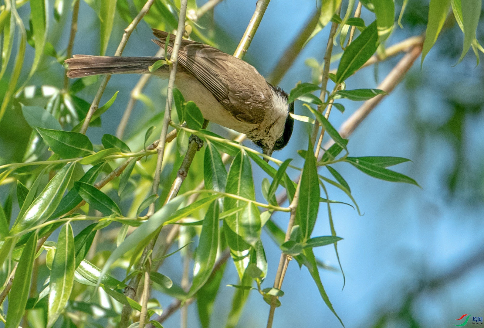 DSC_0209_��ͼ��(1)_1.jpg