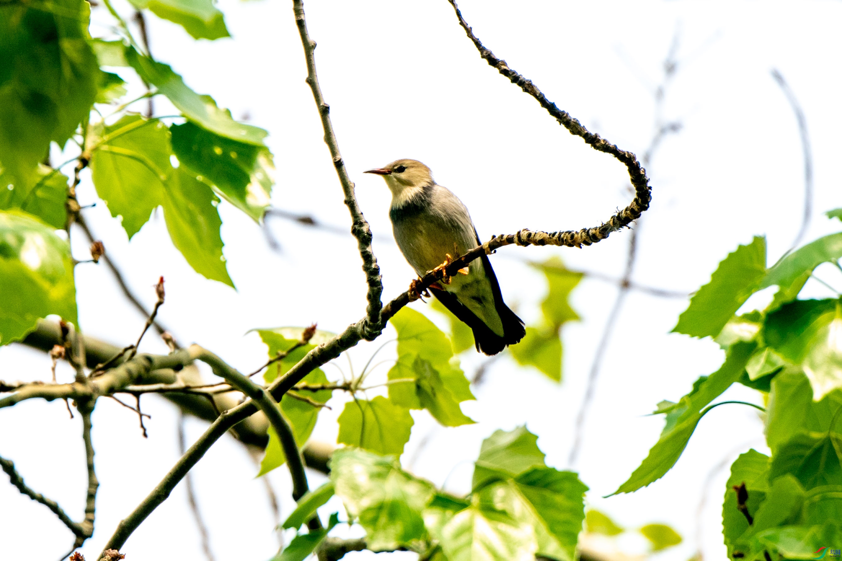 DSC_8474_1.jpg