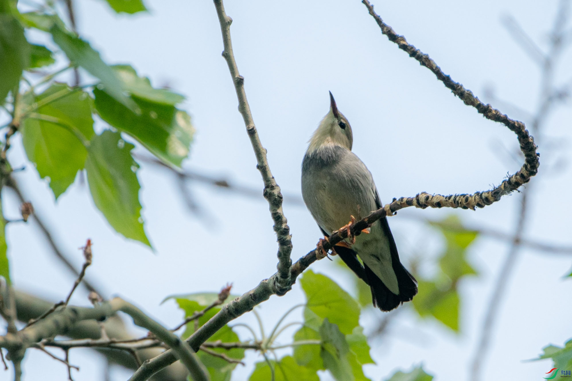 DSC_8476.jpg