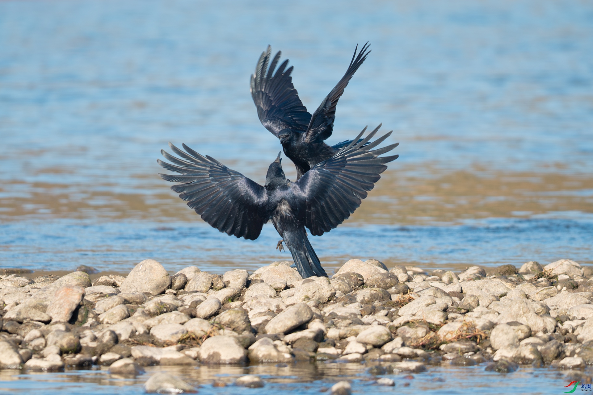 DSC_2359.jpg