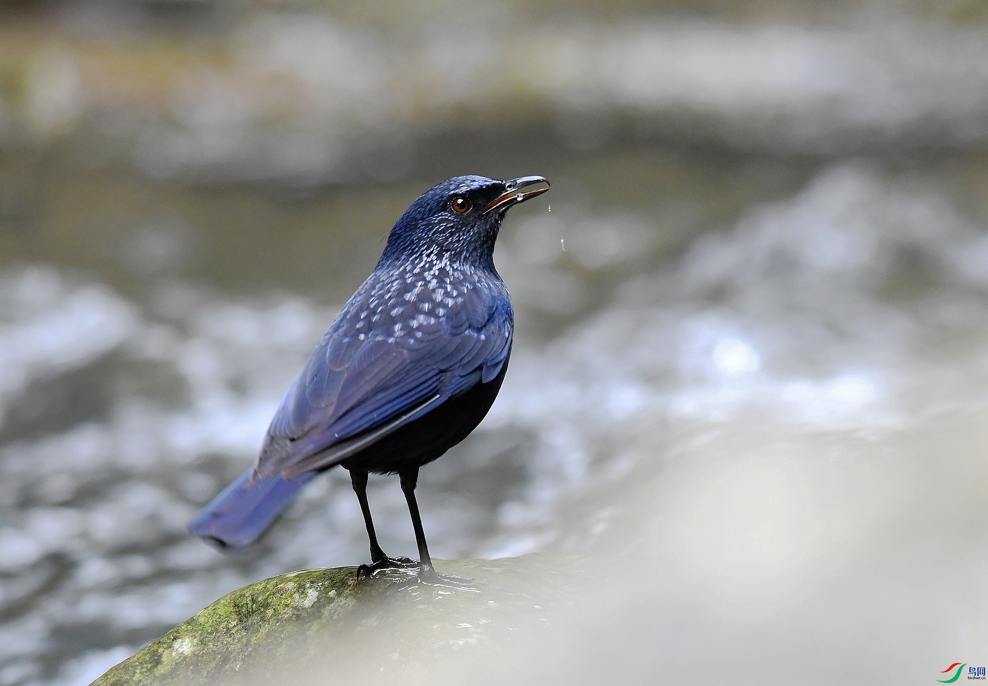 DSC_4199.jpg
