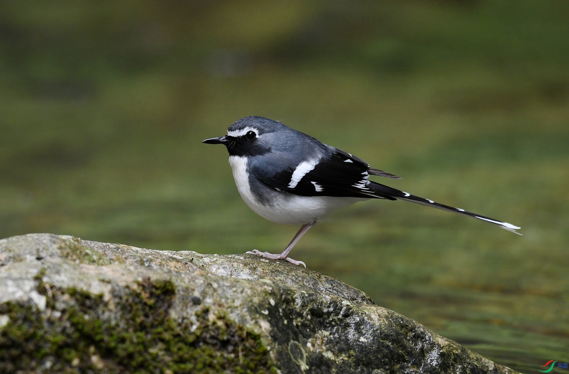 DSC_4312.jpg