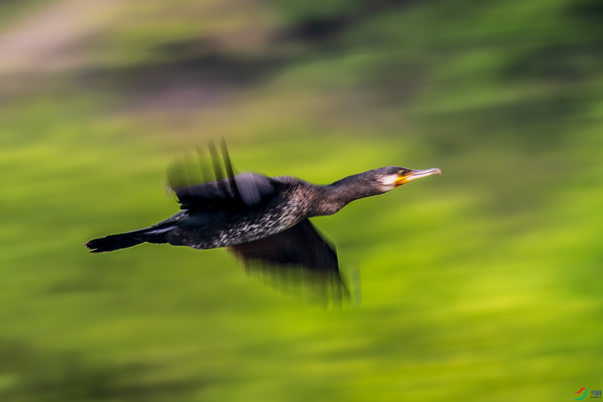 _F9A6755 ����.jpg