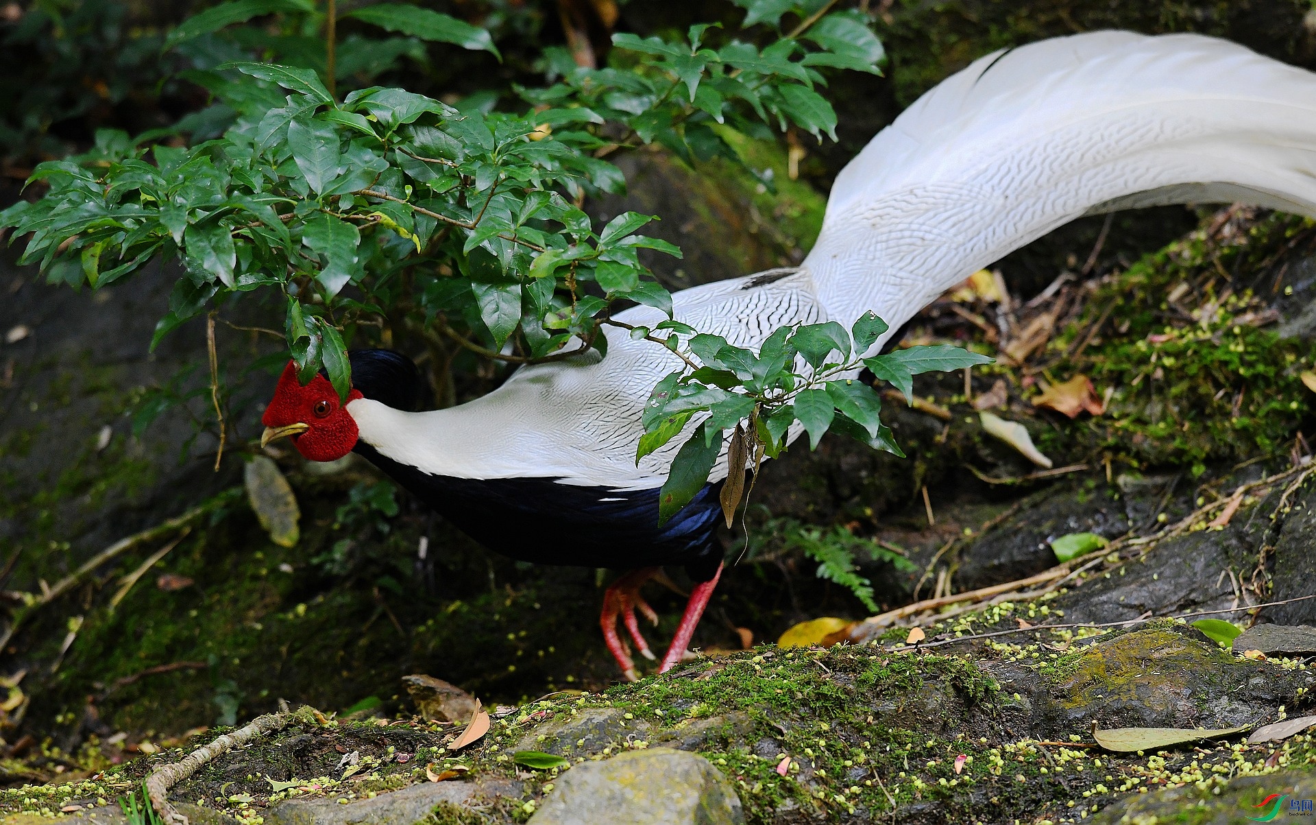 DSC_4505.jpg