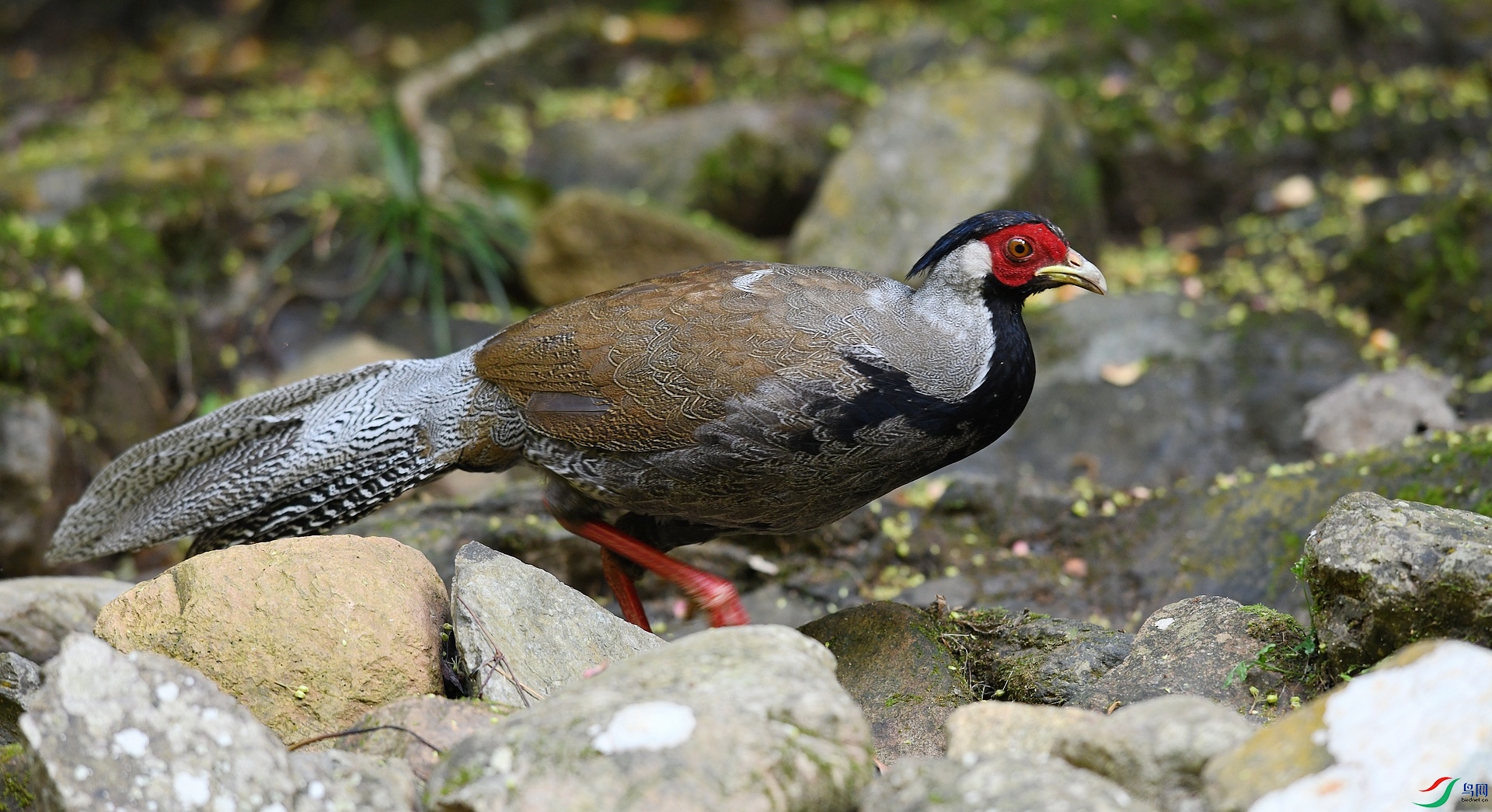 DSC_4457.jpg