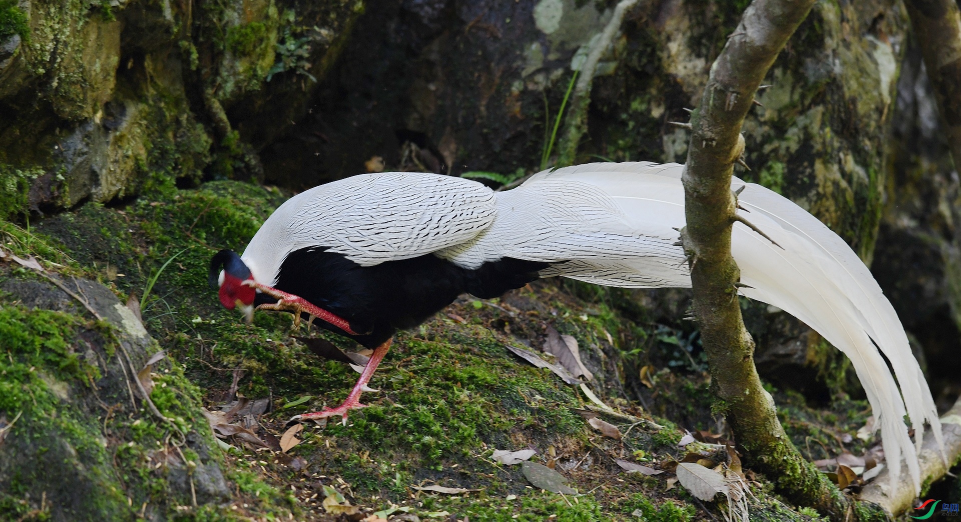 DSC_4677.jpg