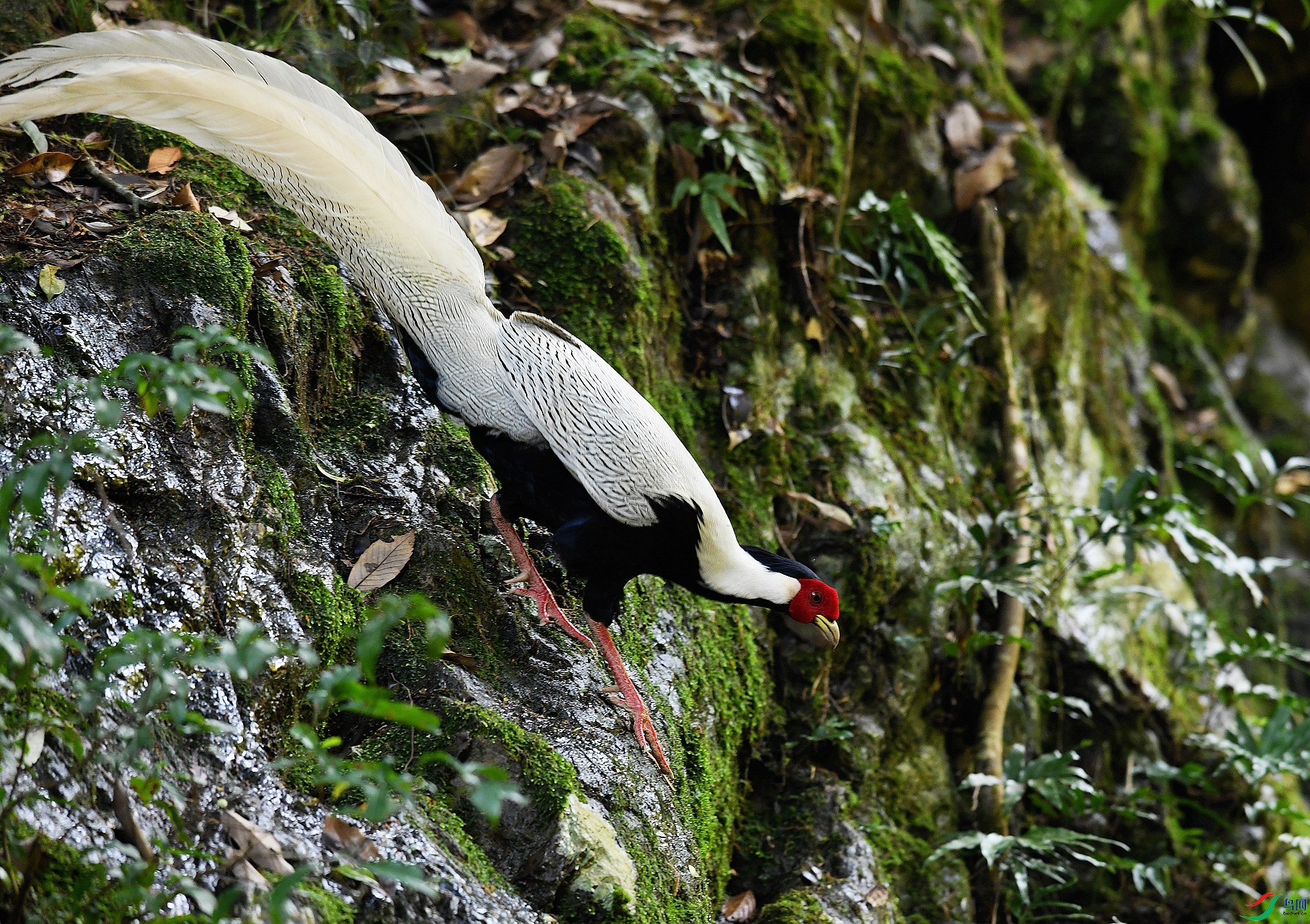 DSC_4745.jpg